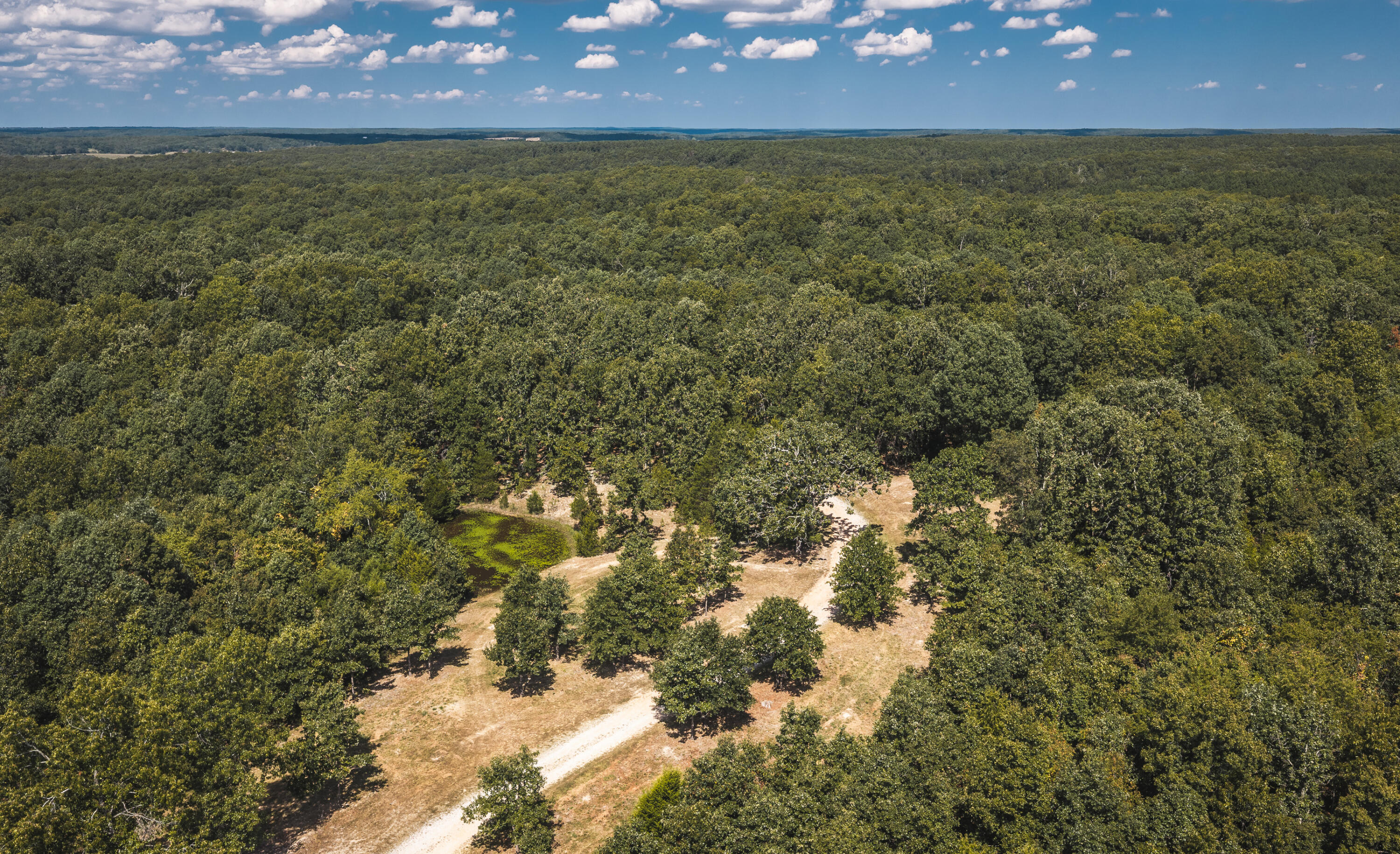9223 State Highway 32 Property Photo 3