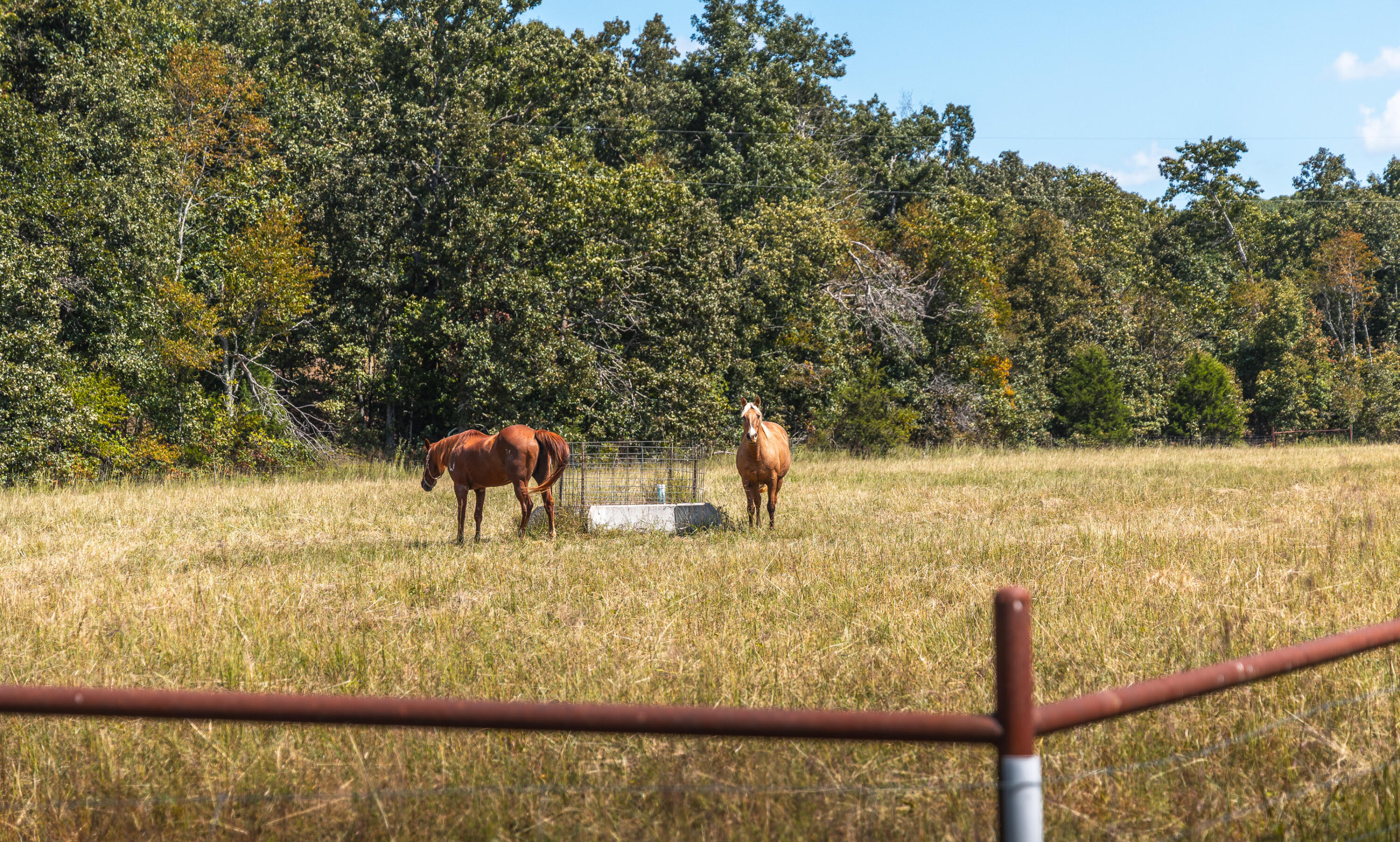 9223 State Highway 32 Property Photo 61