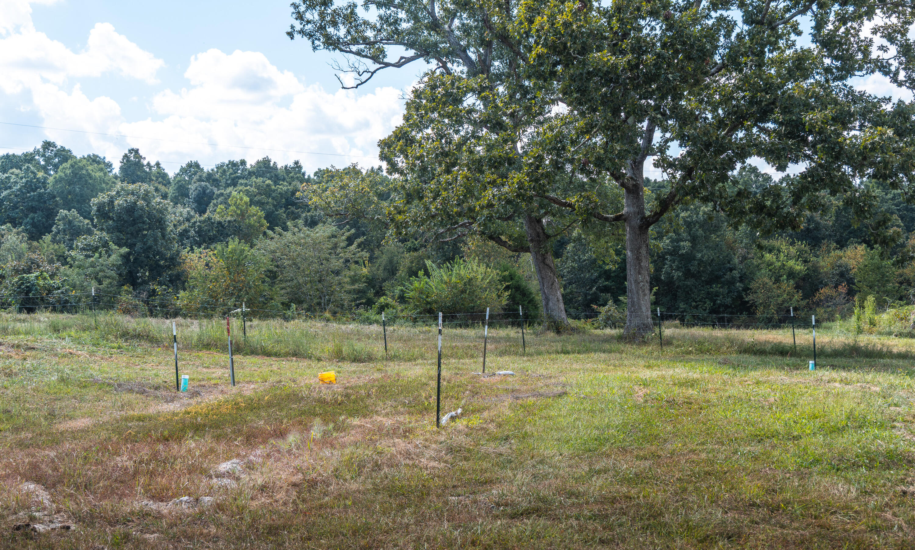 9223 State Highway 32 Property Photo 65
