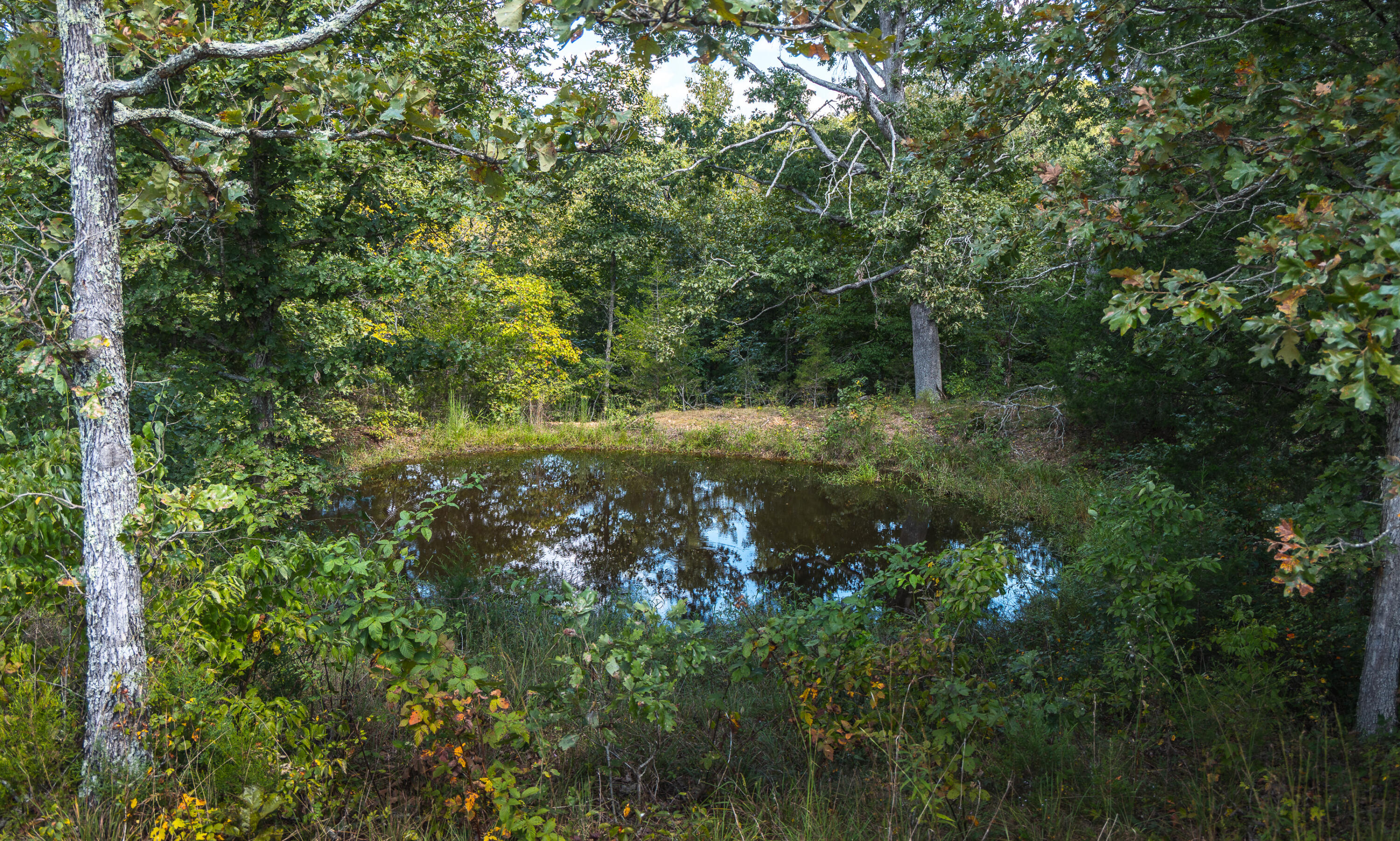 9223 State Highway 32 Property Photo 66