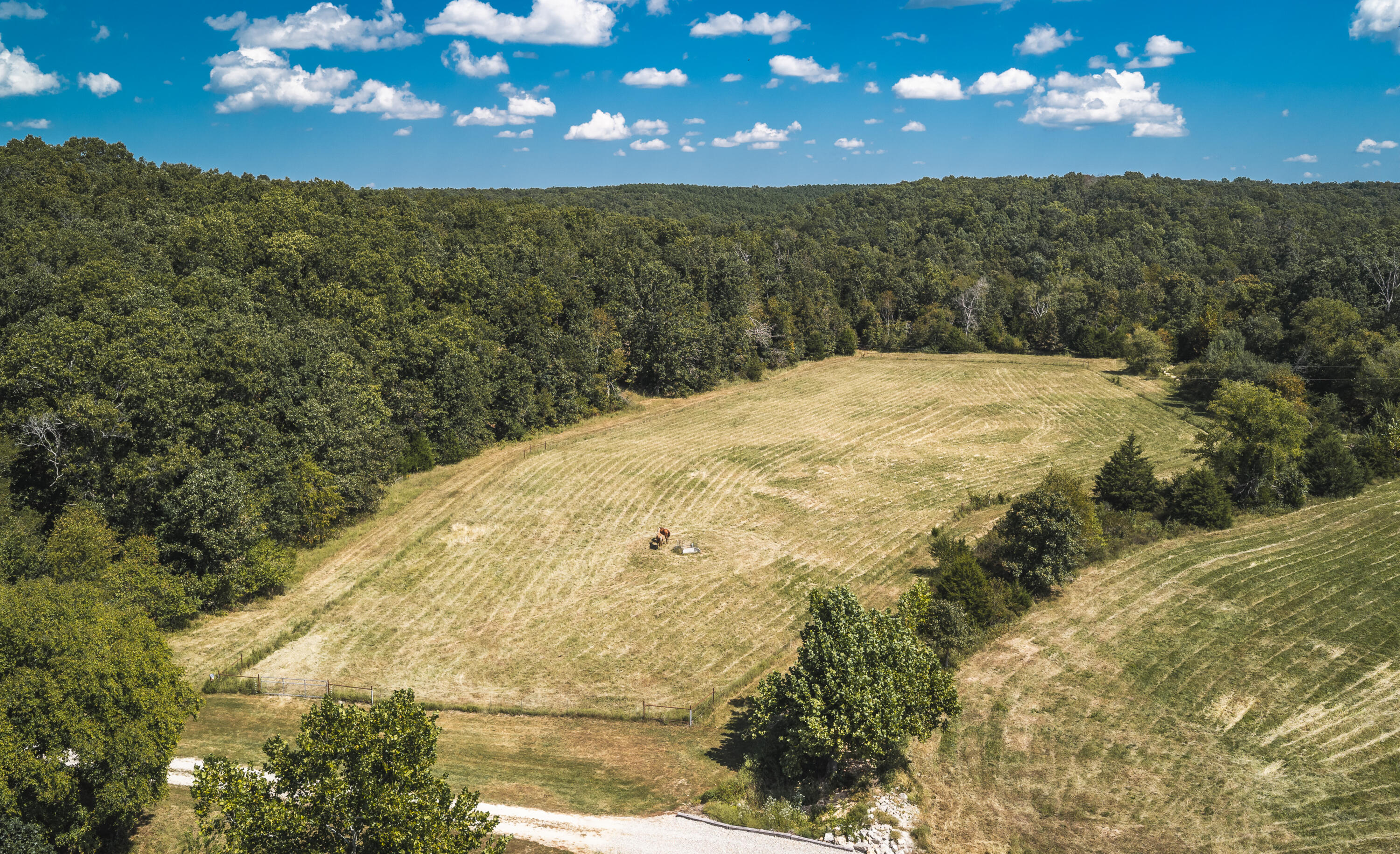 9223 State Highway 32 Property Photo 67