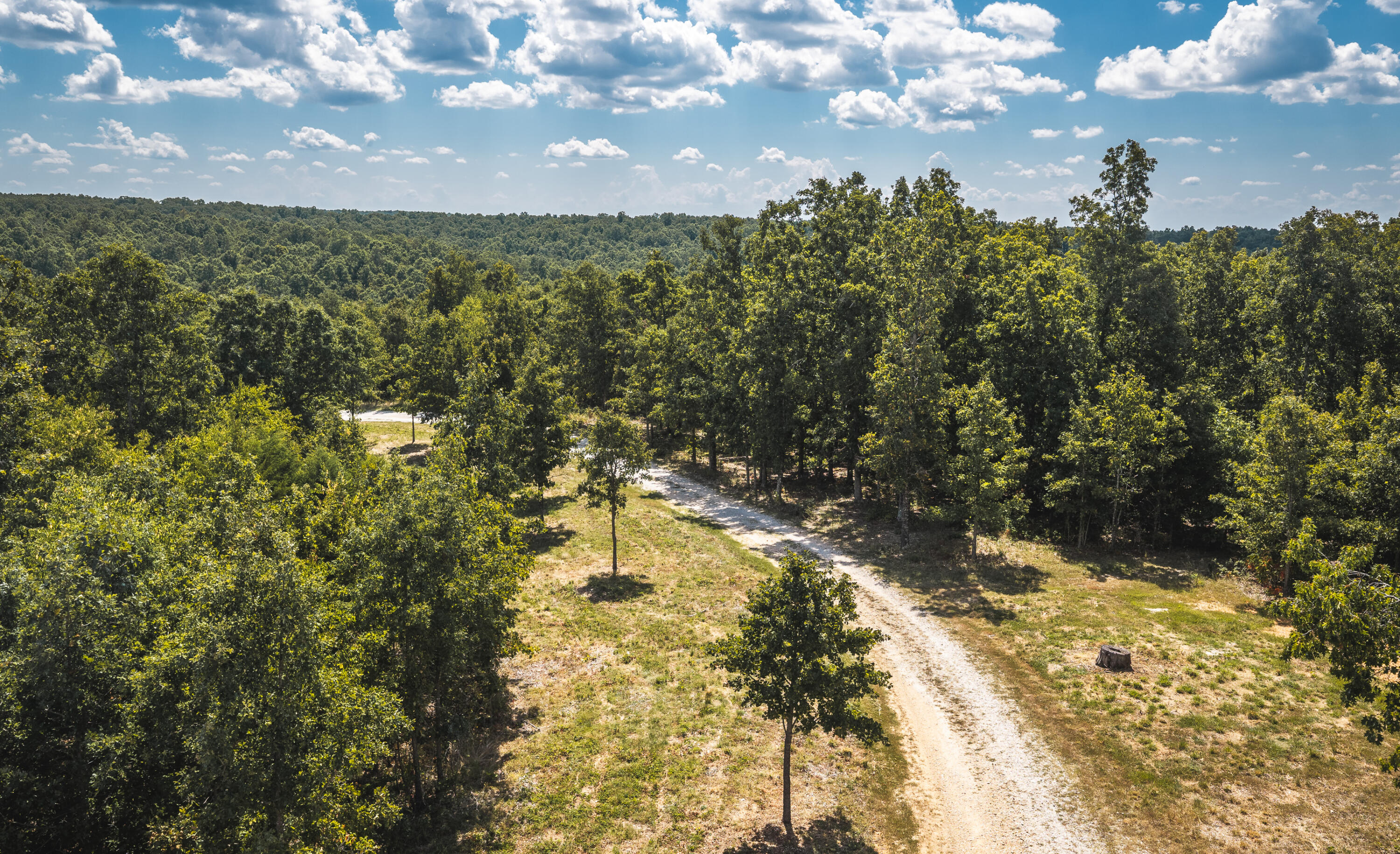 9223 State Highway 32 Property Photo 68