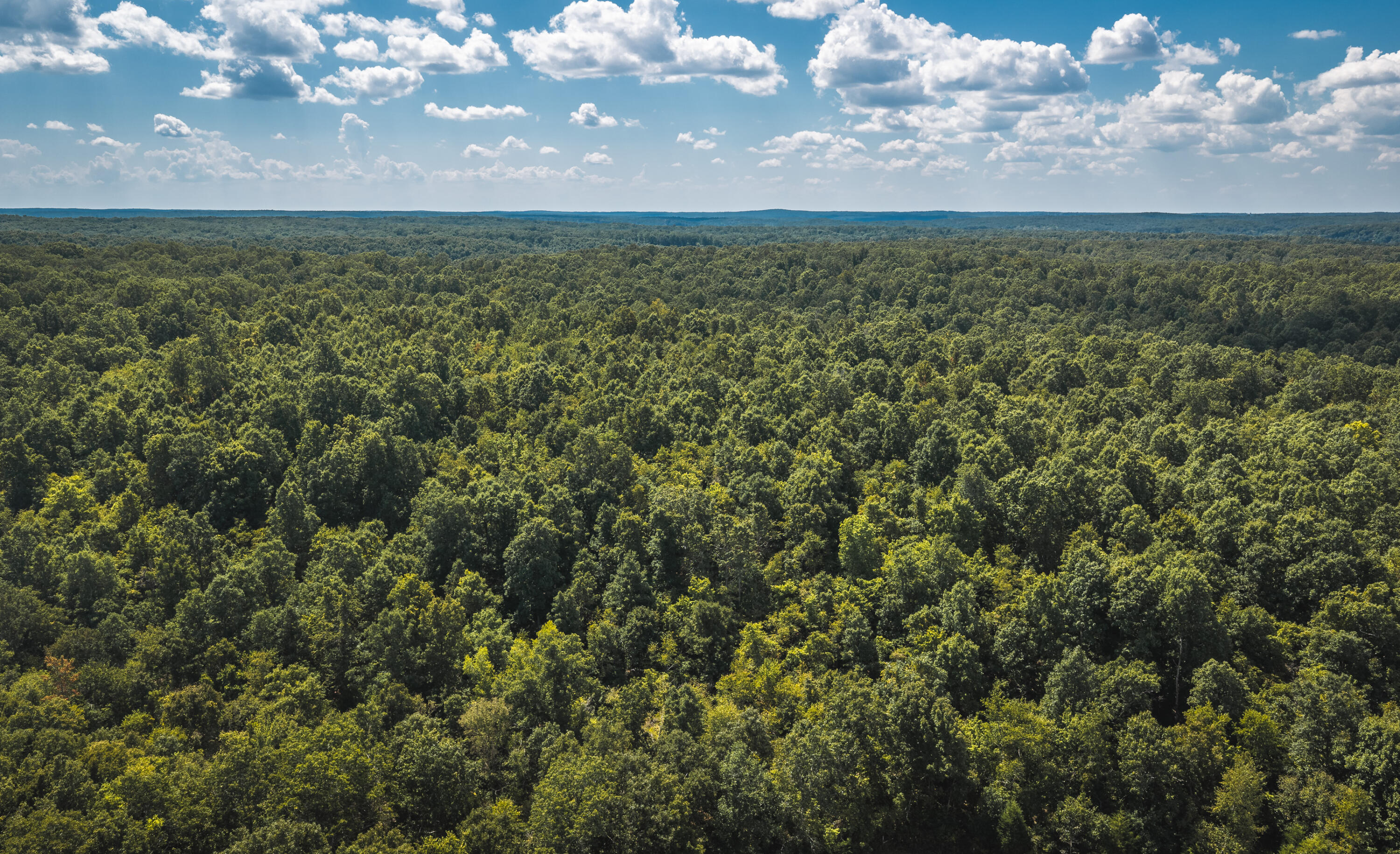 9223 State Highway 32 Property Photo 82