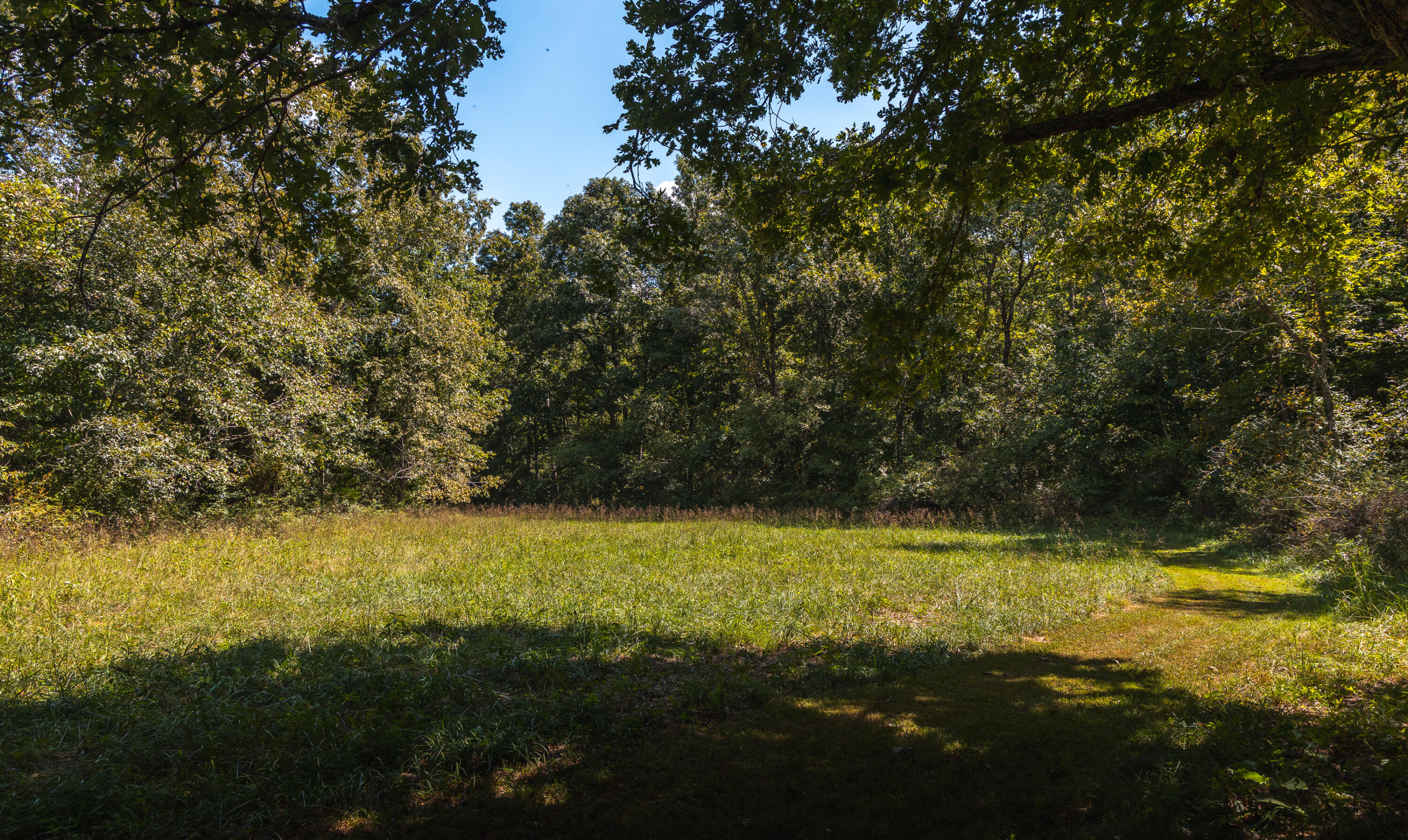 9223 State Highway 32 Property Photo 91