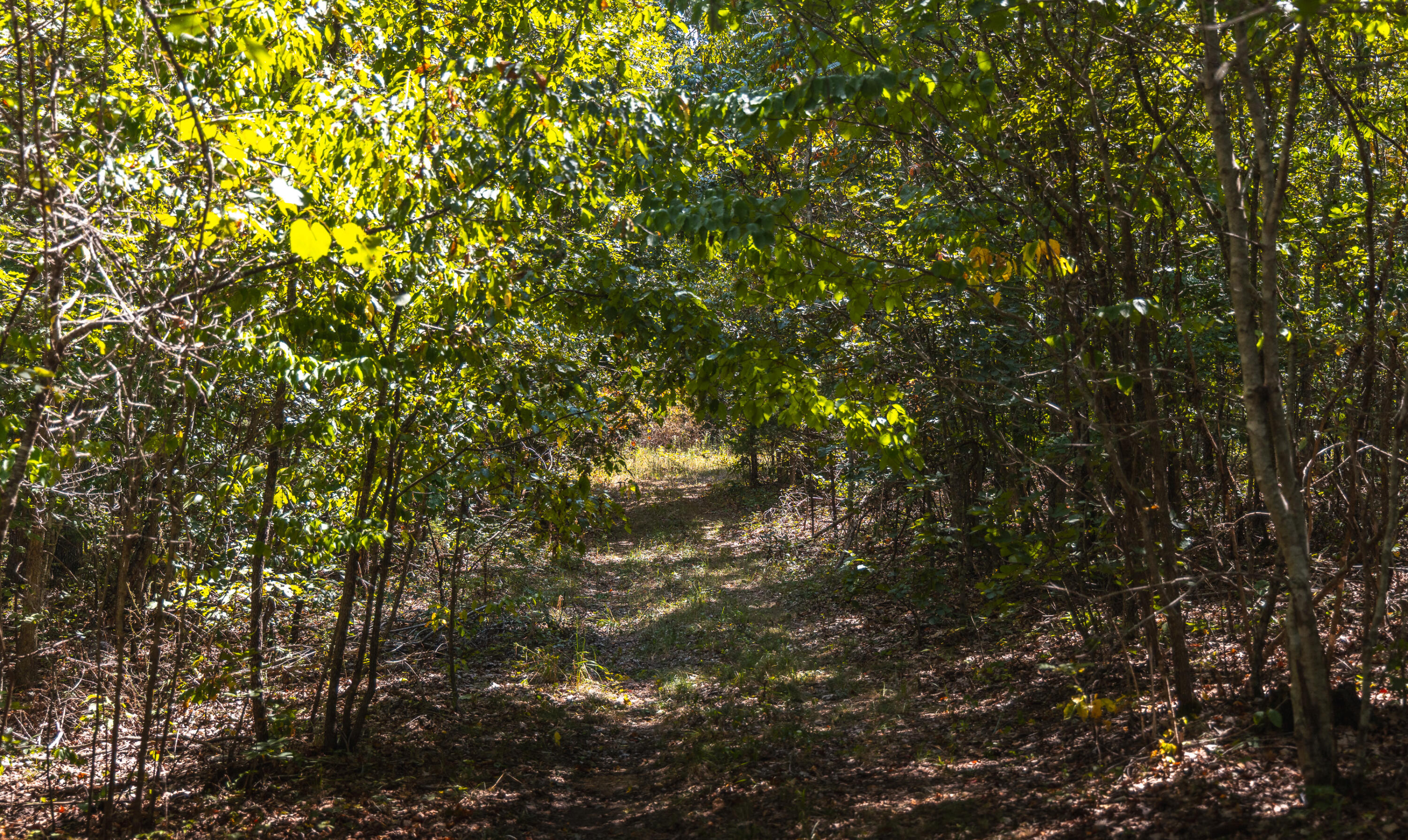 9223 State Highway 32 Property Photo 92