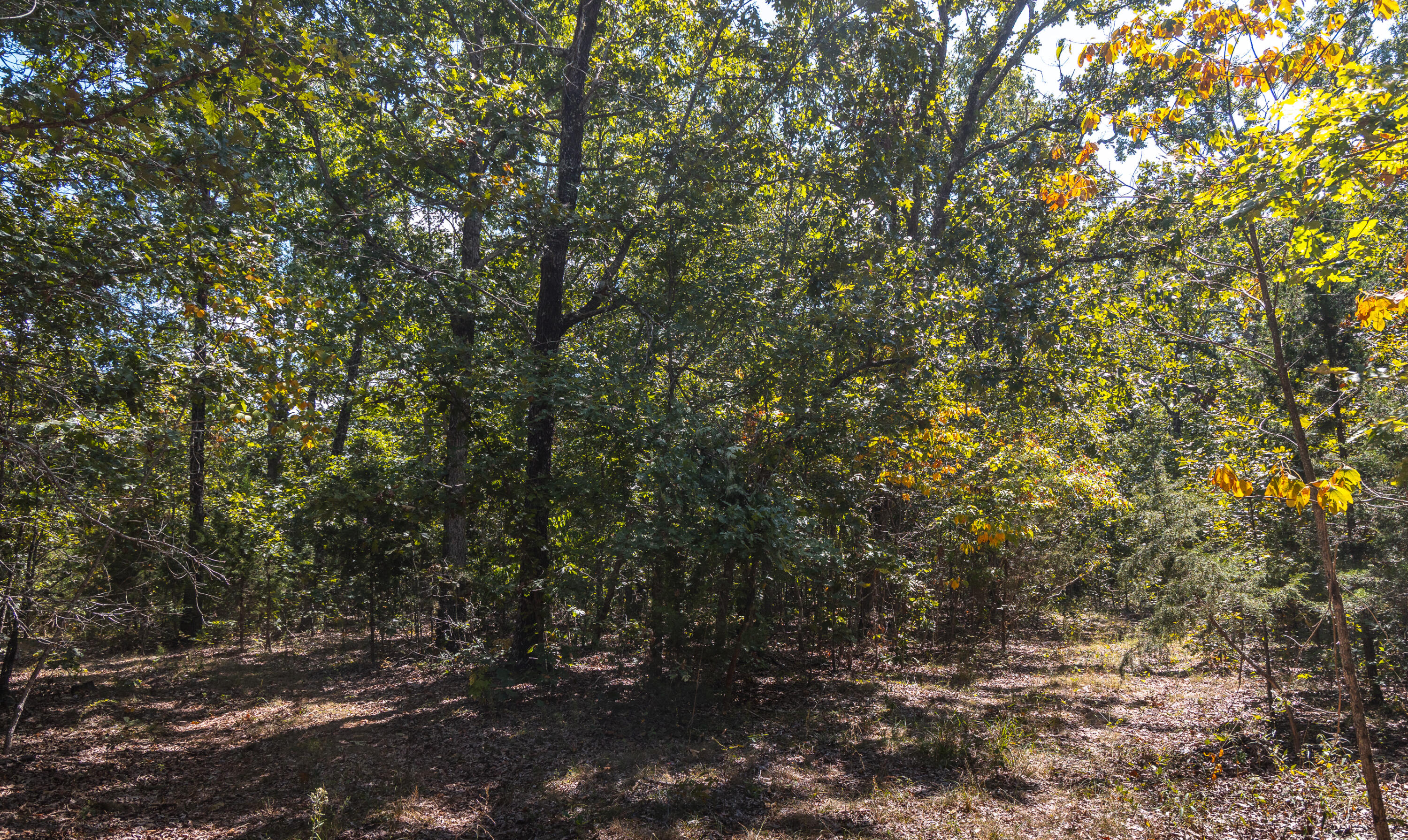 9223 State Highway 32 Property Photo 93