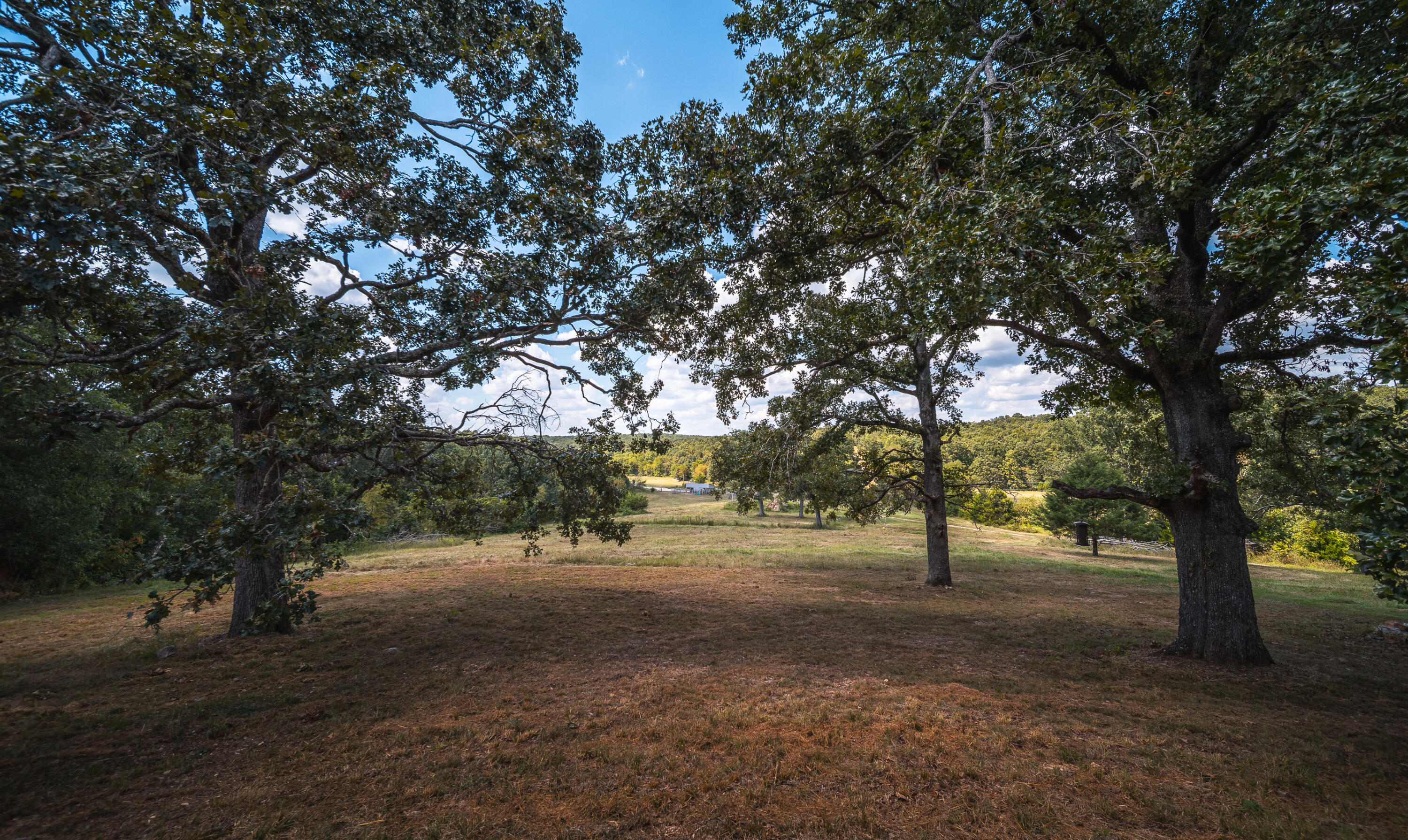 9223 State Highway 32 Property Photo 95