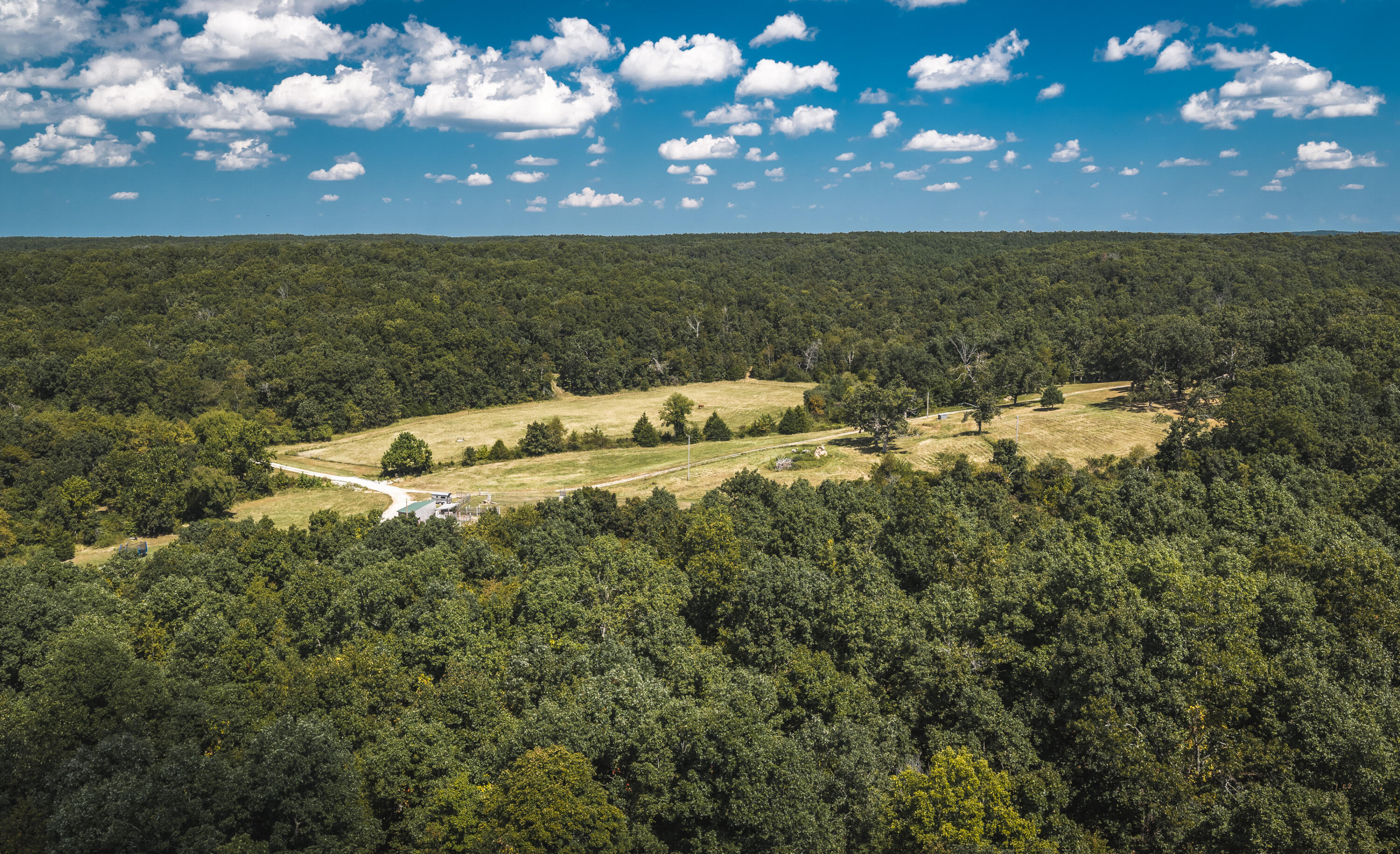 9223 State Highway 32 Property Photo 98