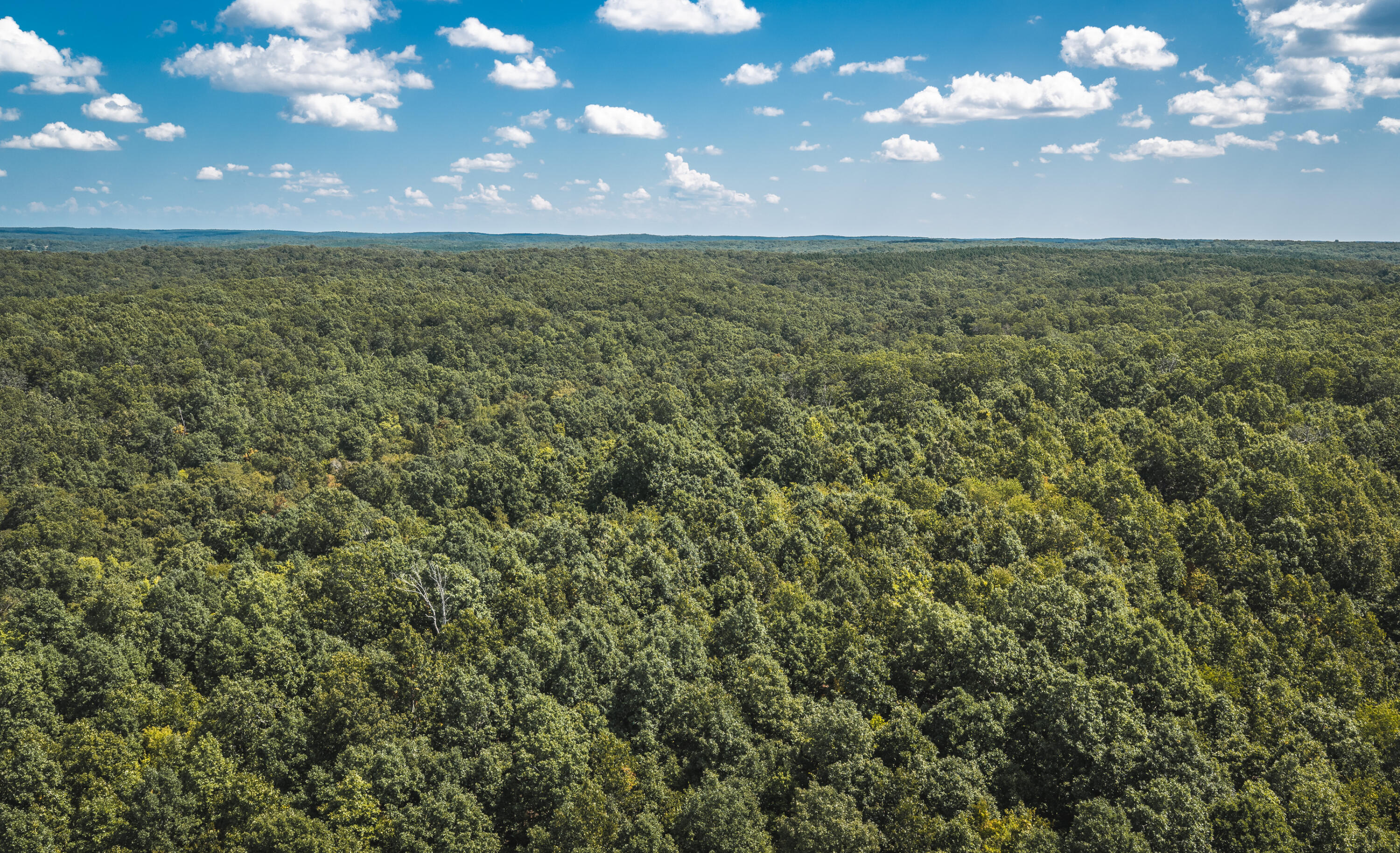 9223 State Highway 32 Property Photo 99