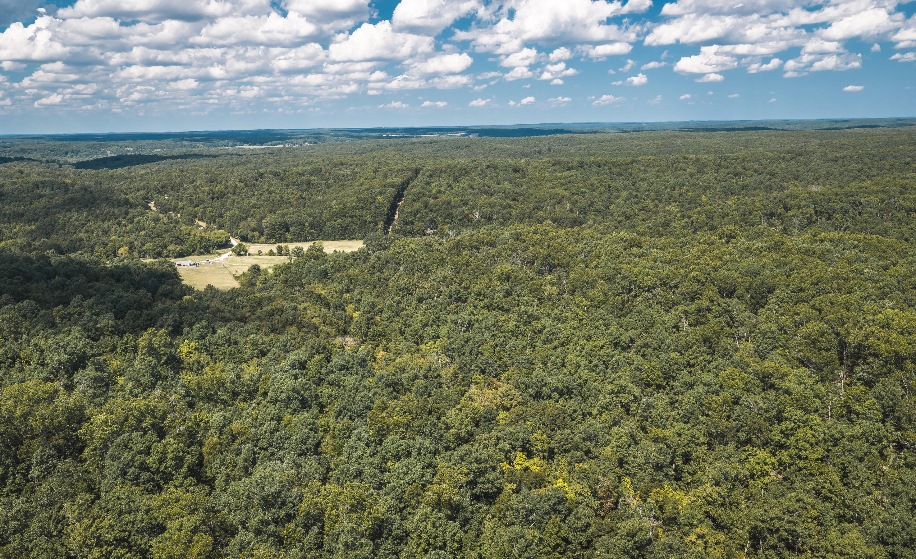 9223 State Highway 32 Property Photo 100