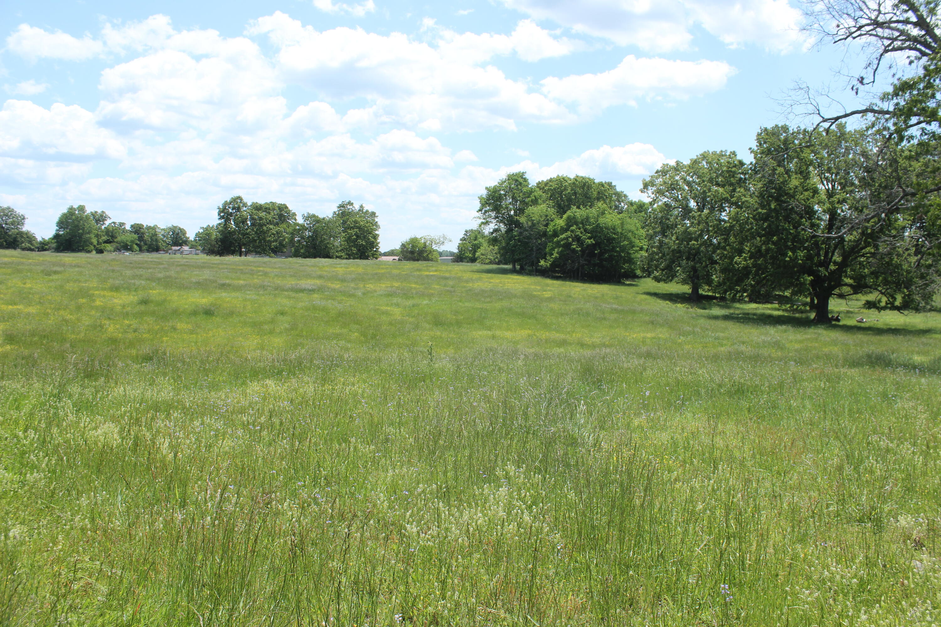 000 W Highway Property Photo 2
