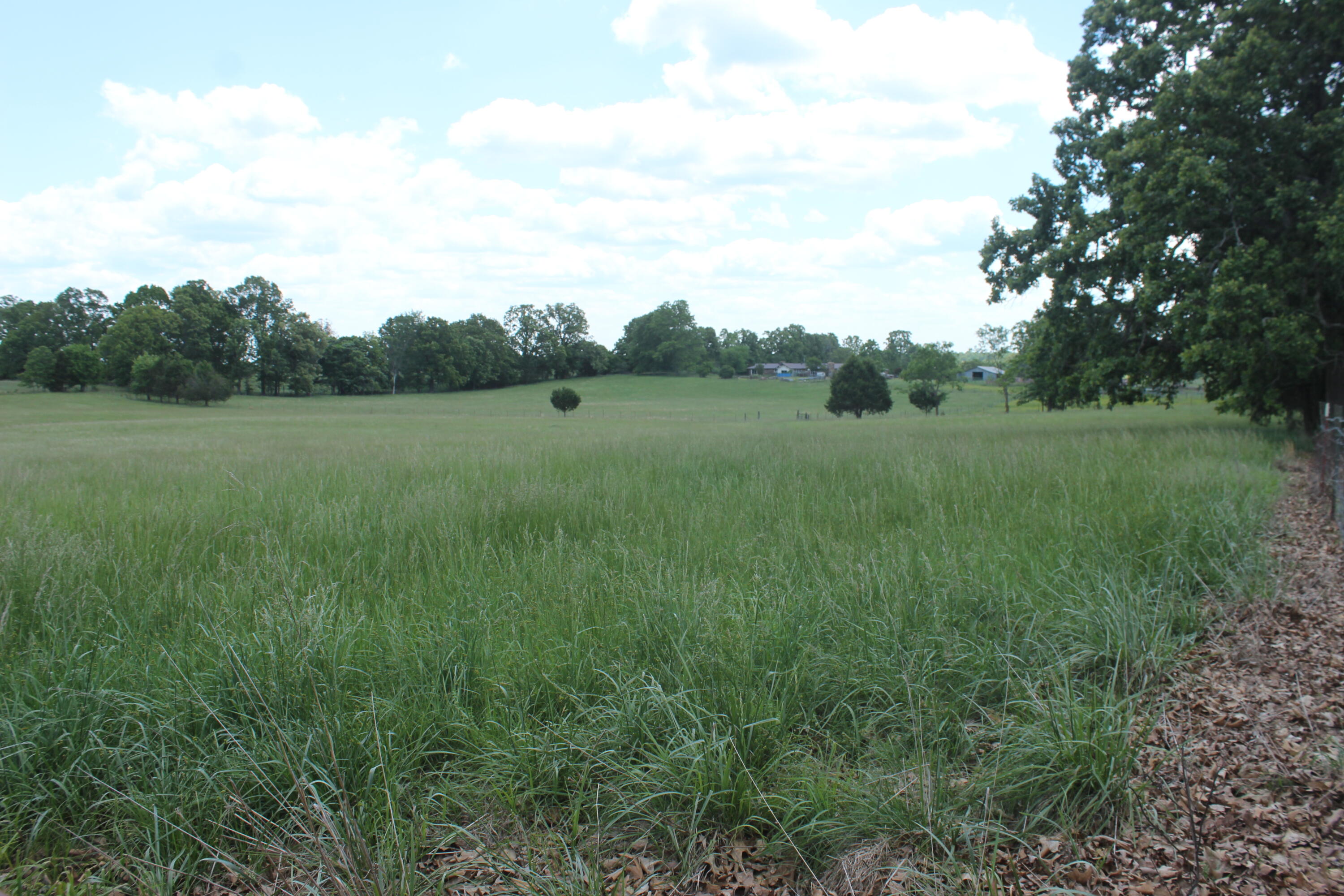 000 W Highway Property Photo 5