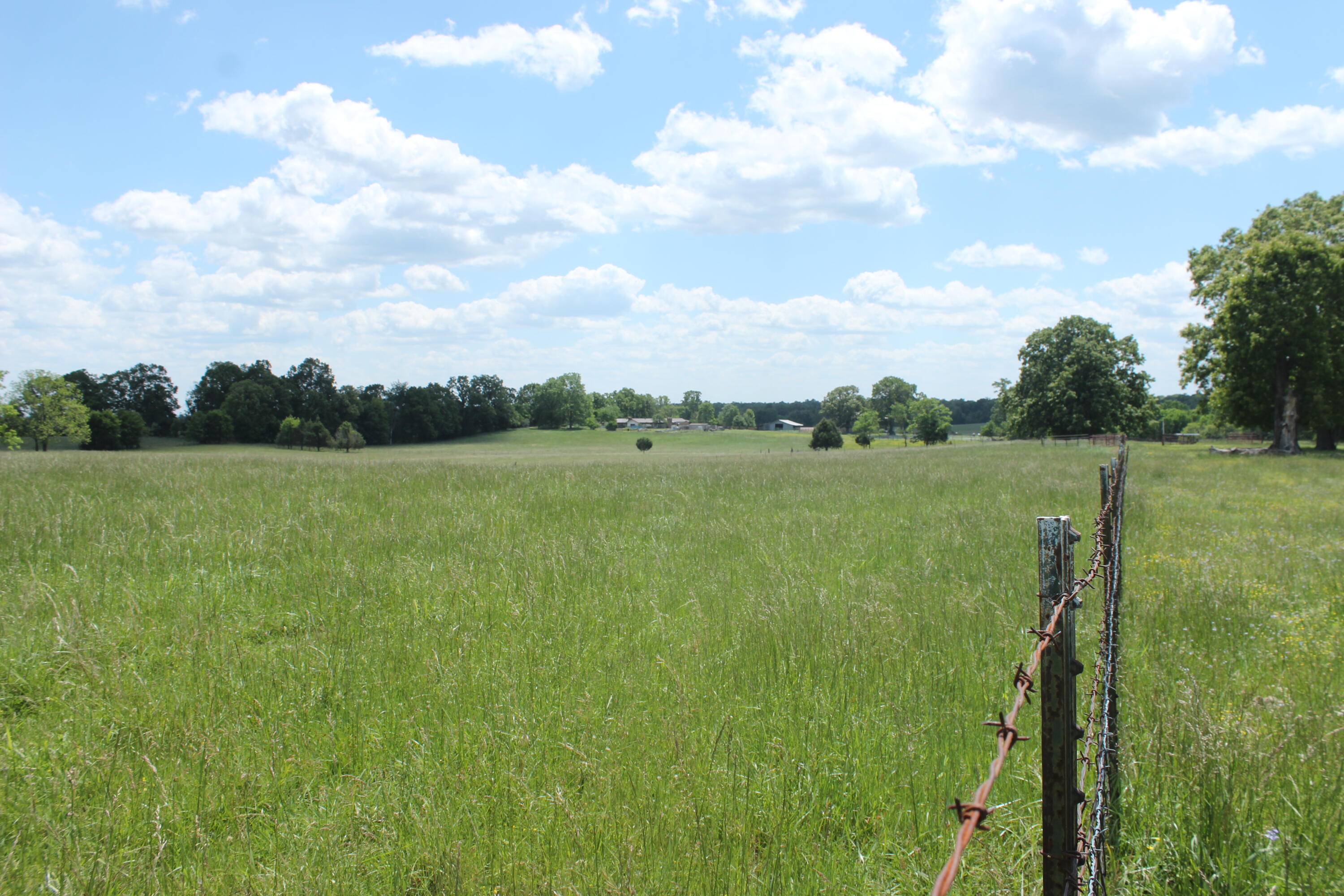 000 W Highway Property Photo 6