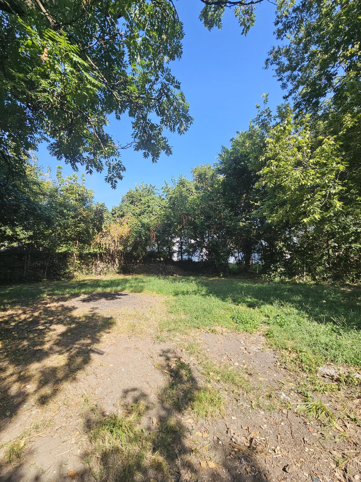 817 West Locust Street Property Photo 15