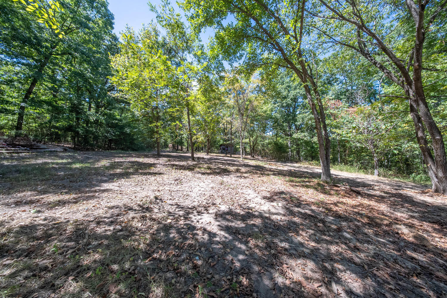 98 County Road 867 Property Photo 33