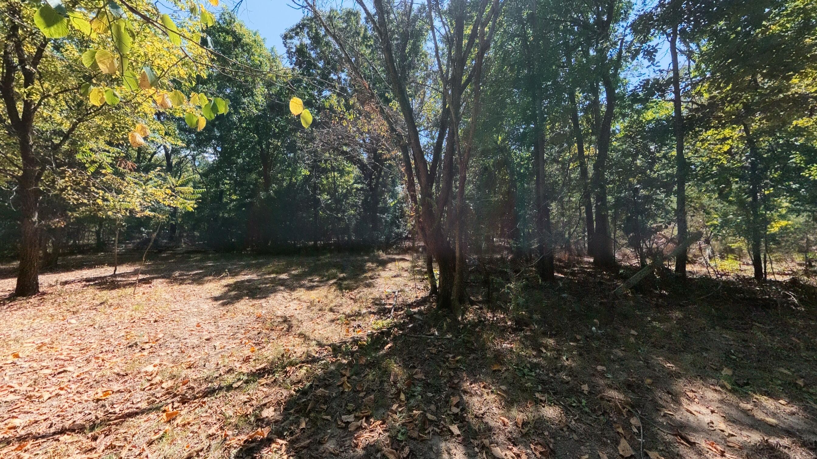 98 County Road 867 Property Photo 40