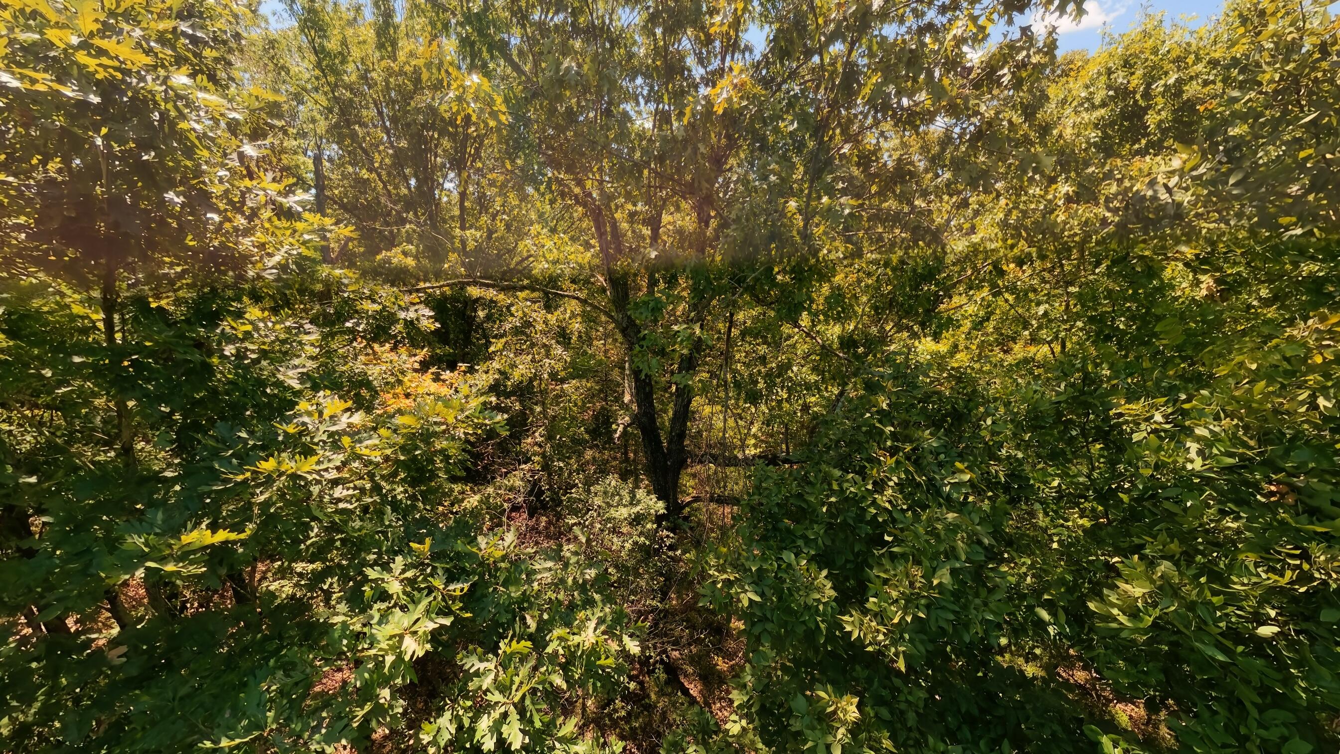 98 County Road 867 Property Photo 42