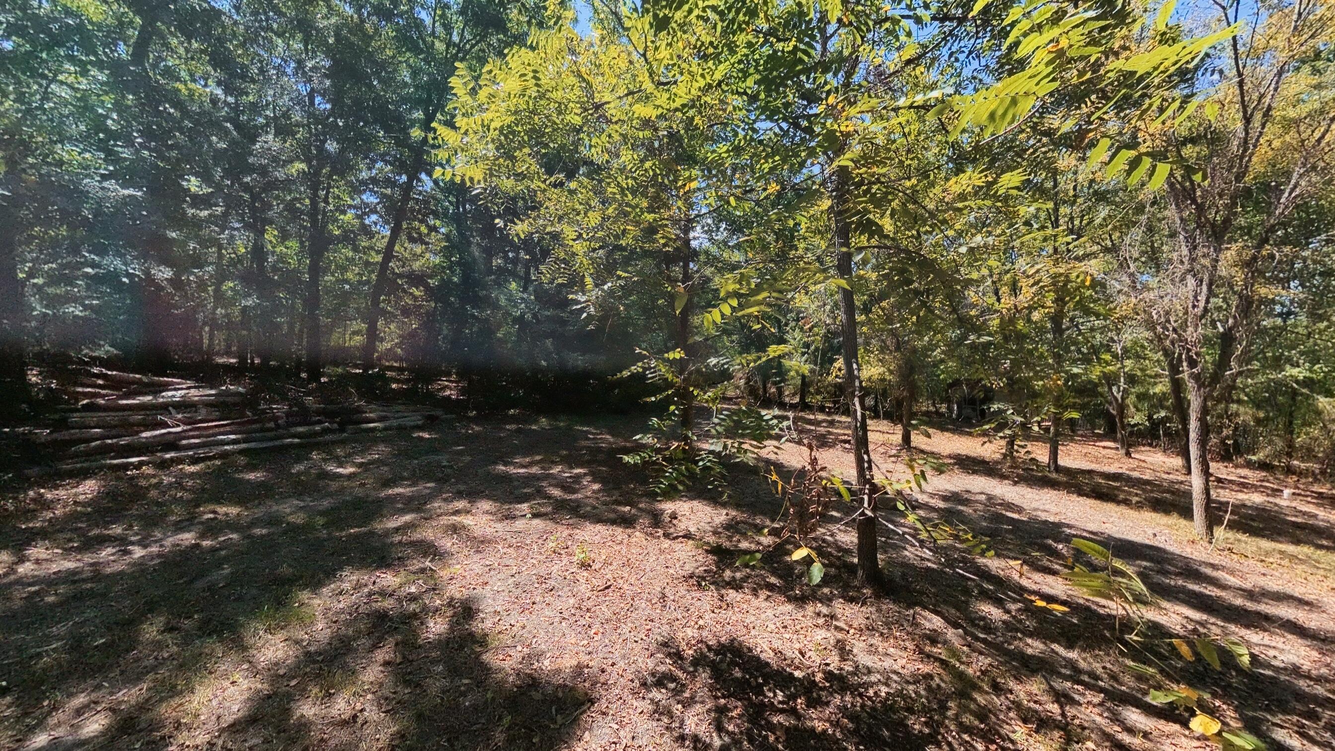 98 County Road 867 Property Photo 45