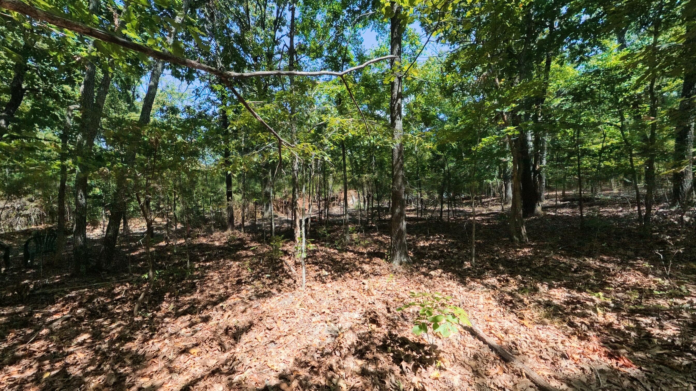 98 County Road 867 Property Photo 46