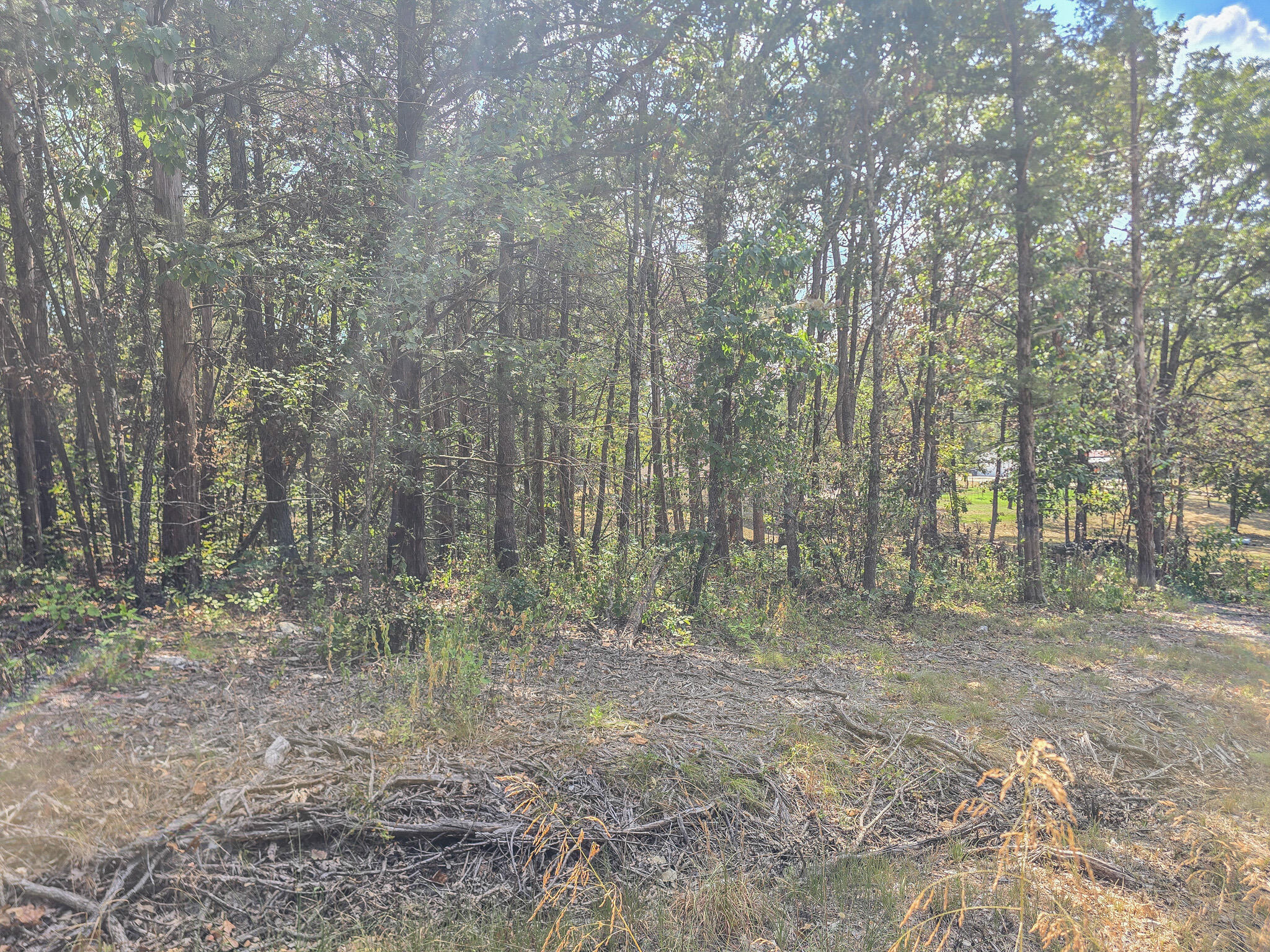 21762 Ash Street Property Photo 1