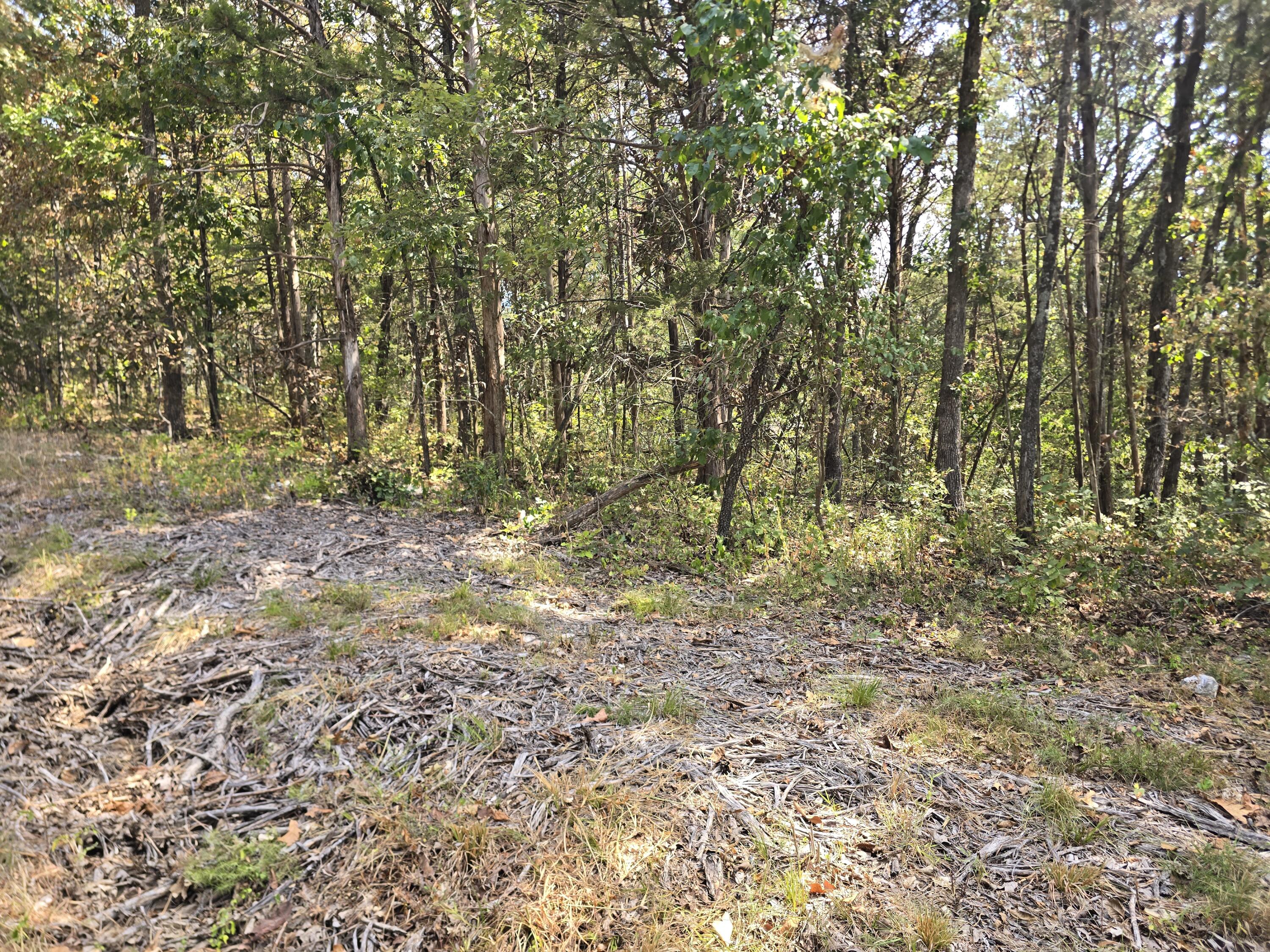21762 Ash Street Property Photo 2