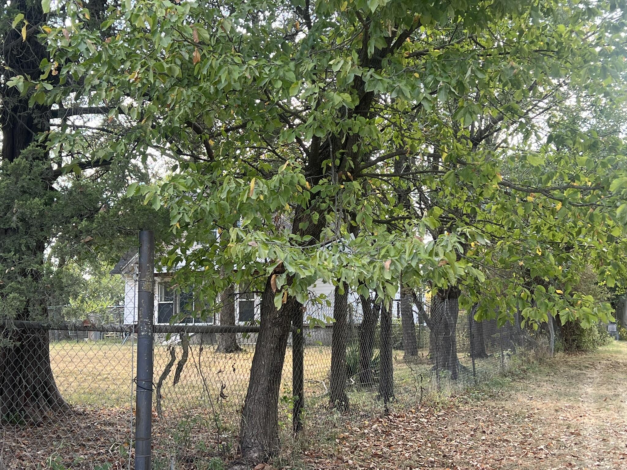 85 Foose Road Property Photo 3