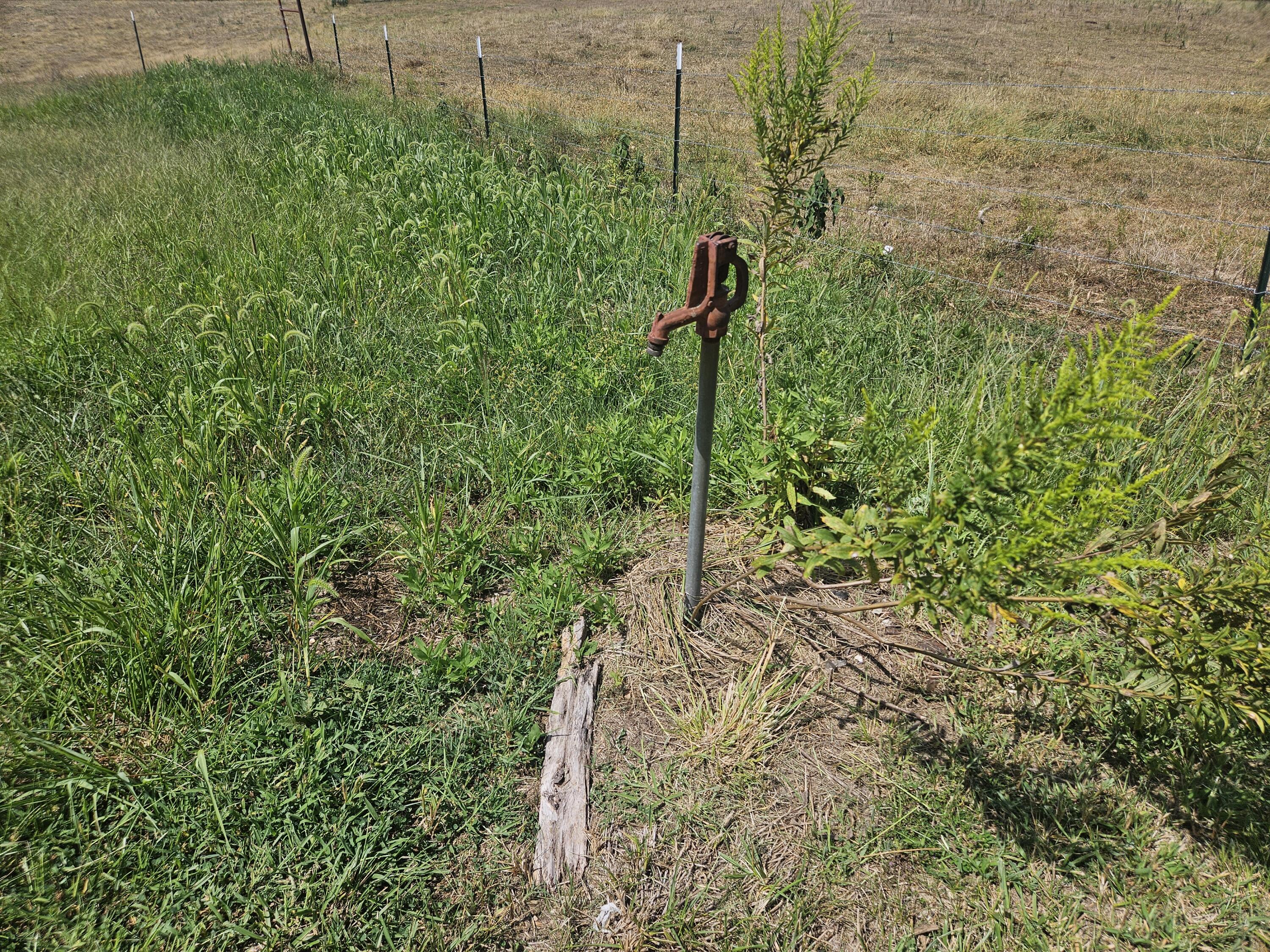 6305 State Route T Property Photo 31