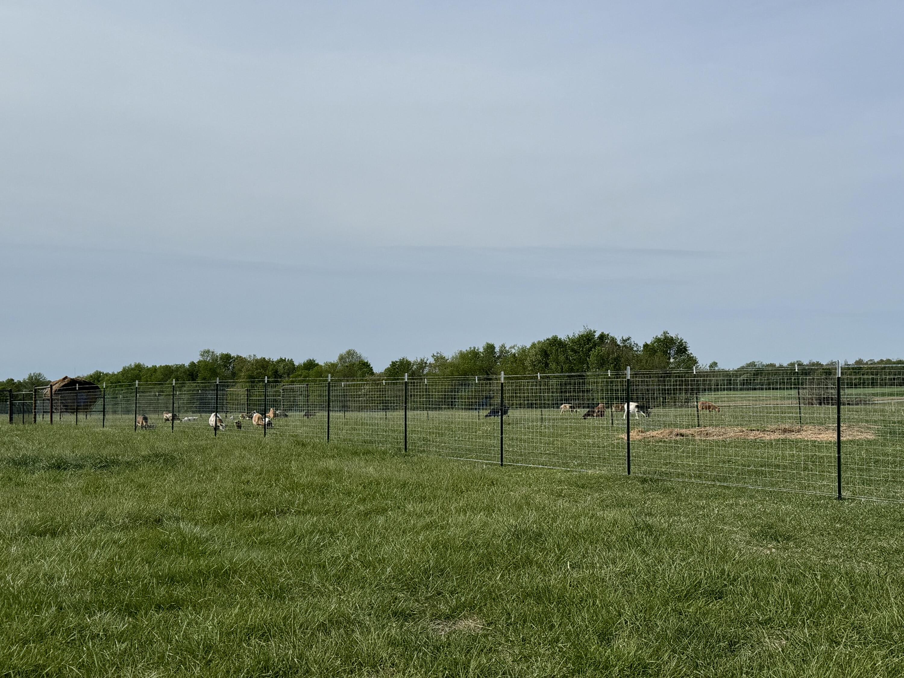 18127 Highway H Property Photo 71
