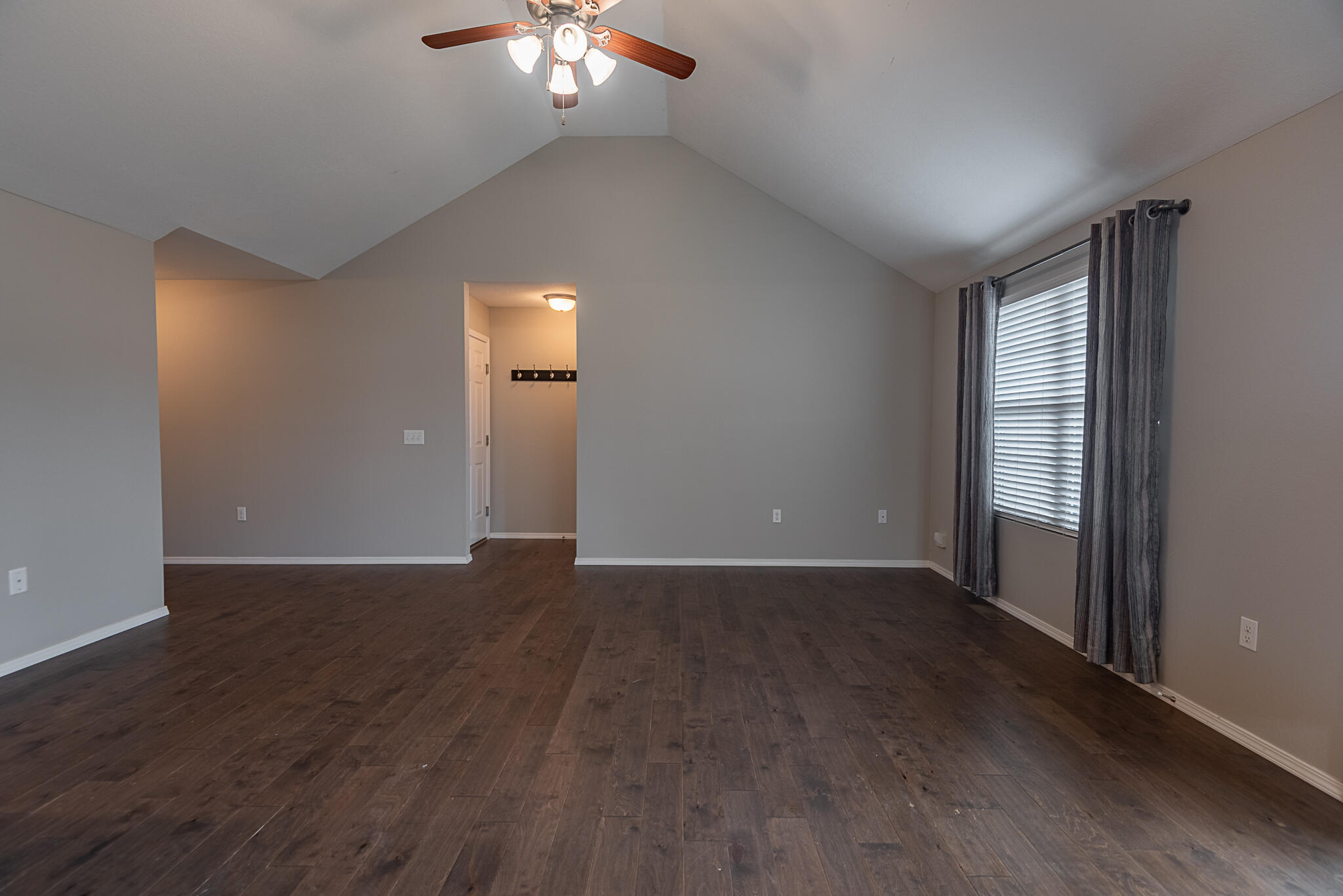 309 West Corsica Street Property Photo 4