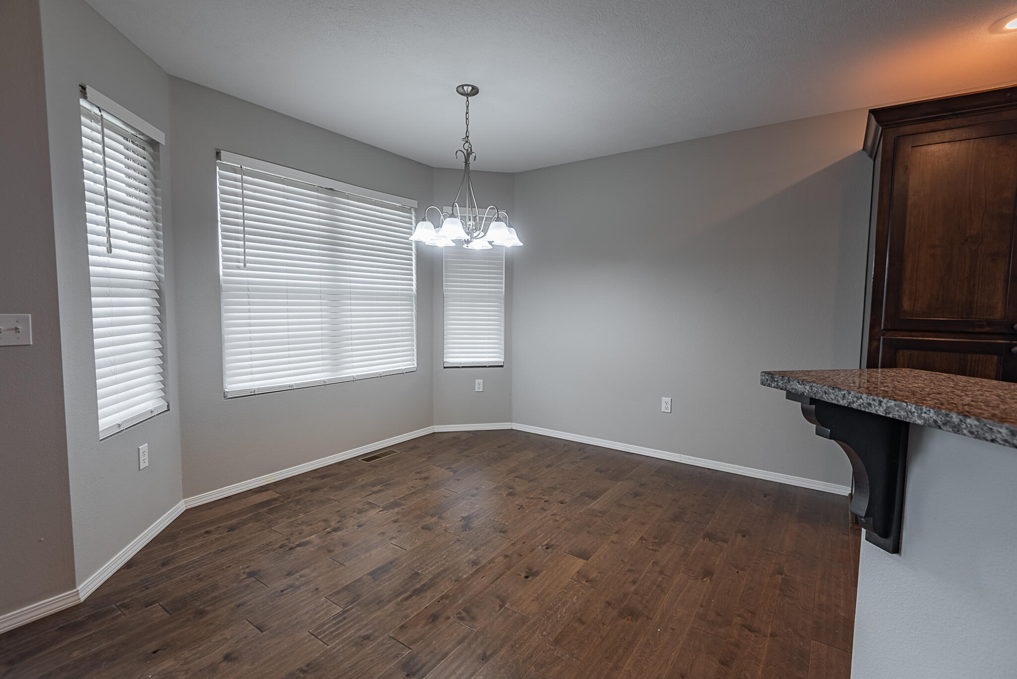 309 West Corsica Street Property Photo 7