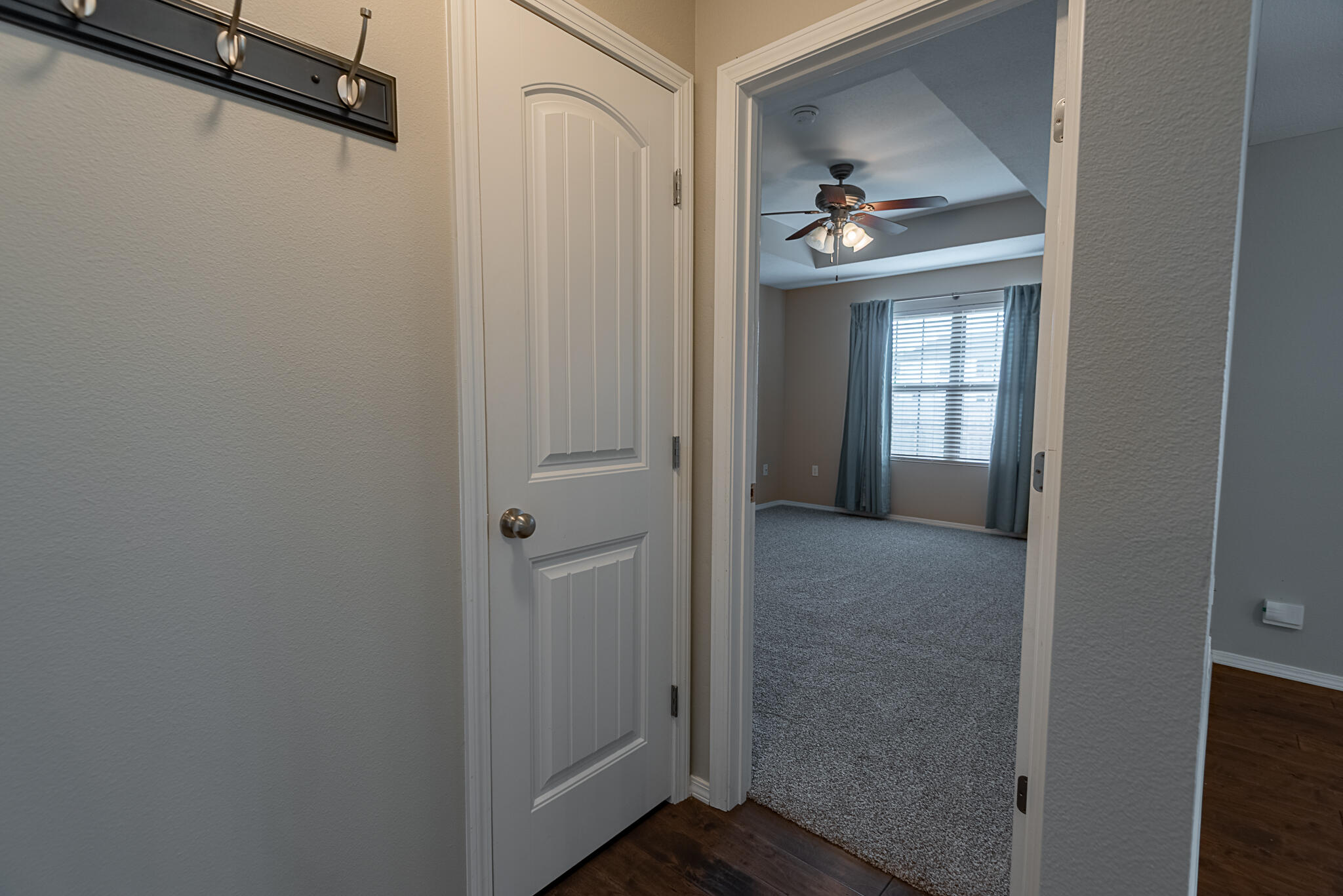 309 West Corsica Street Property Photo 12