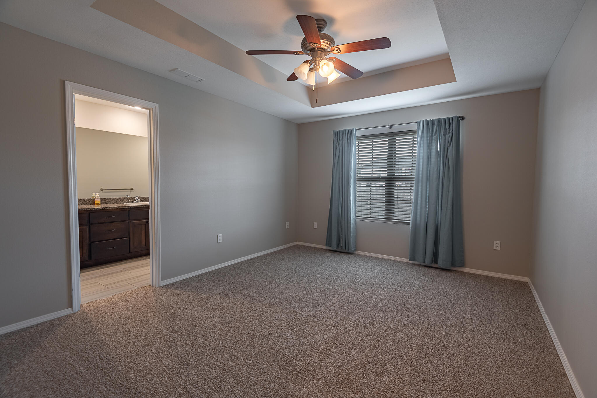 309 West Corsica Street Property Photo 13