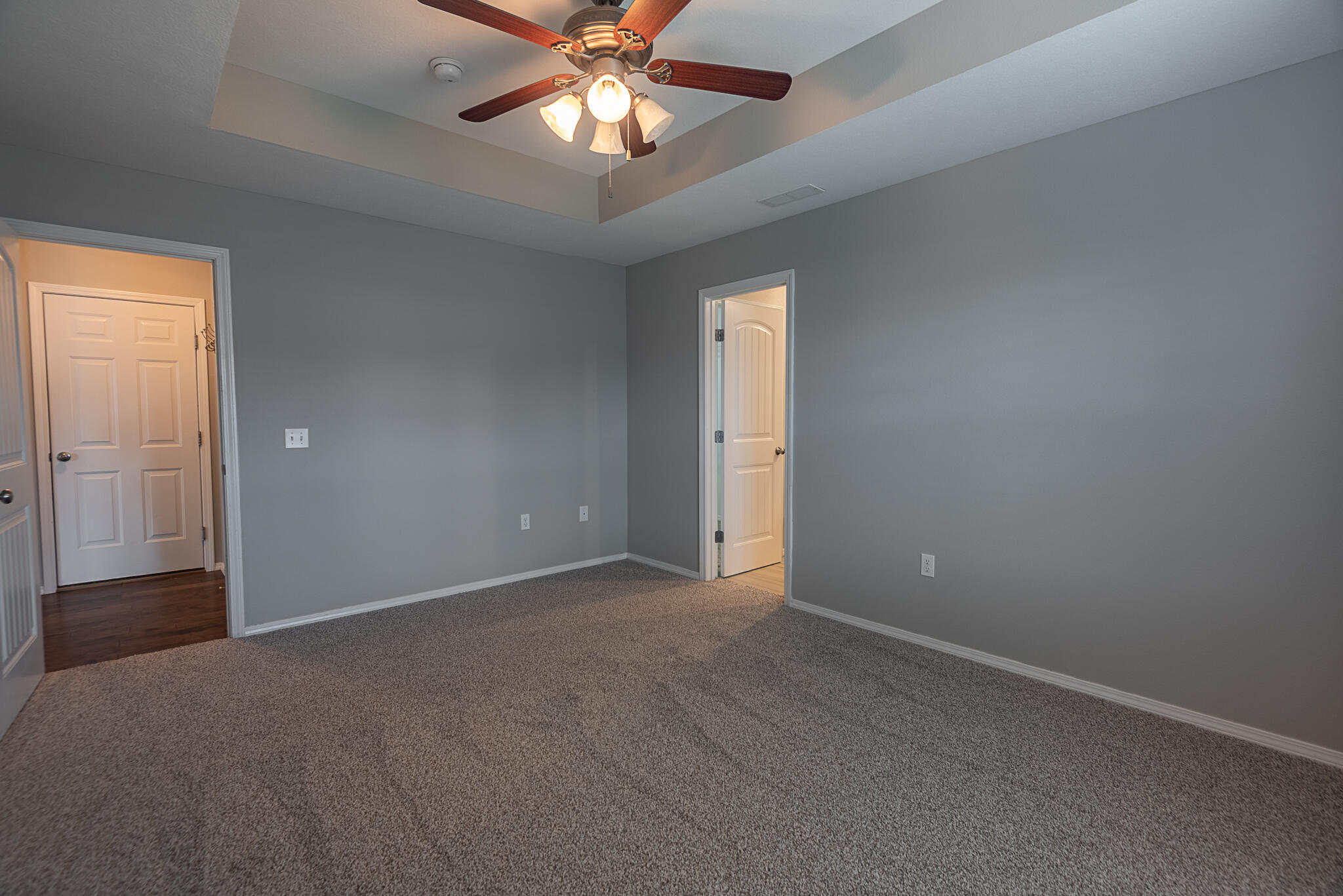 309 West Corsica Street Property Photo 14
