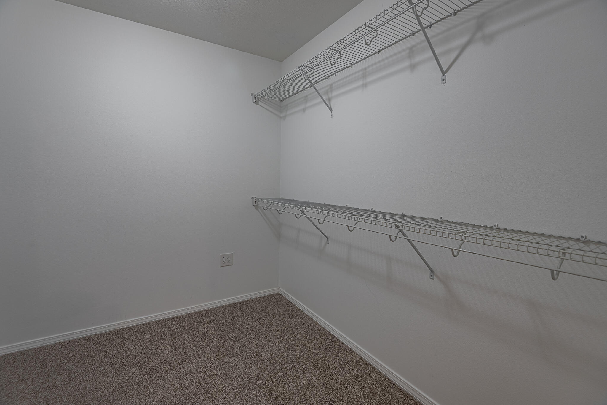 309 West Corsica Street Property Photo 18
