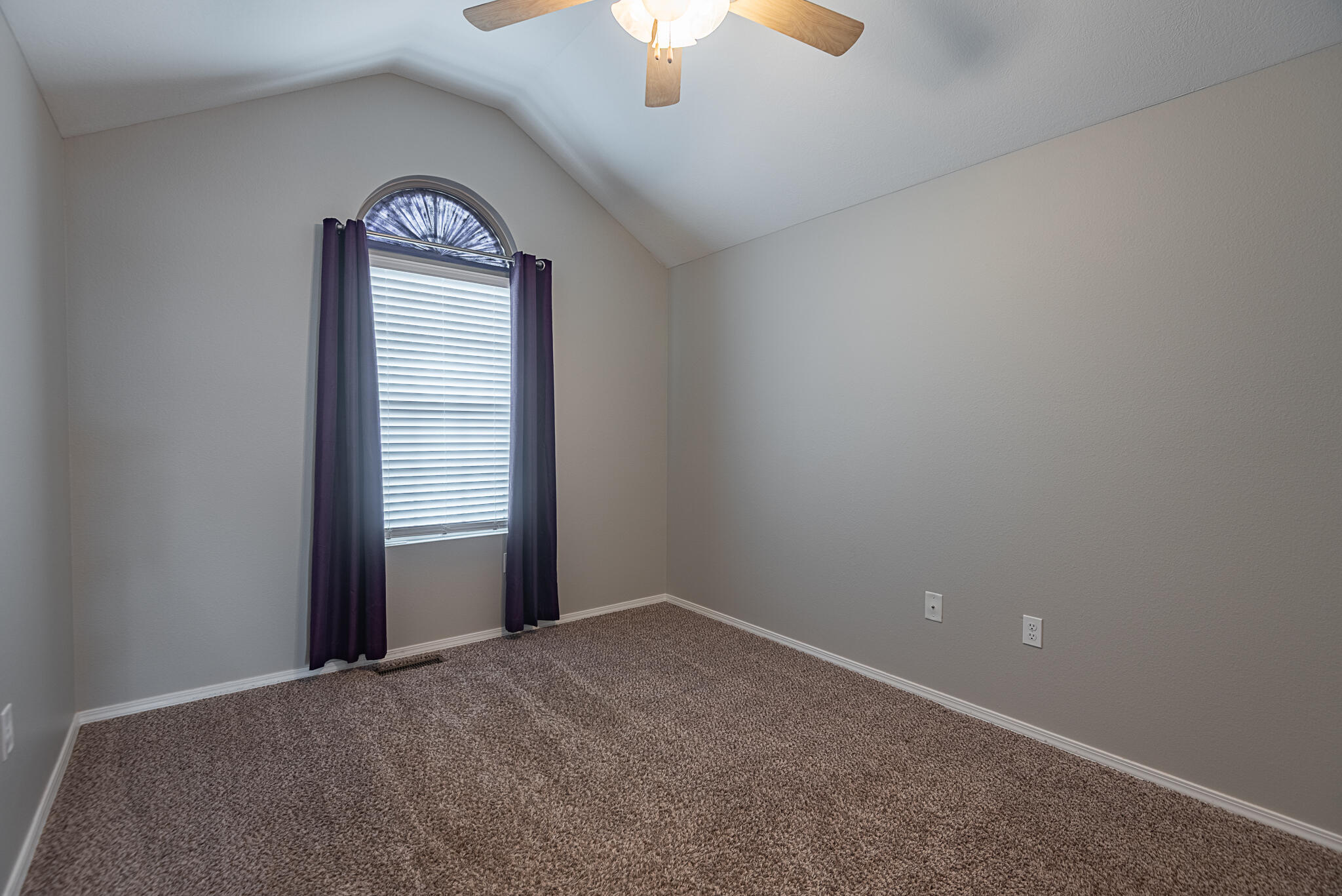 309 West Corsica Street Property Photo 20