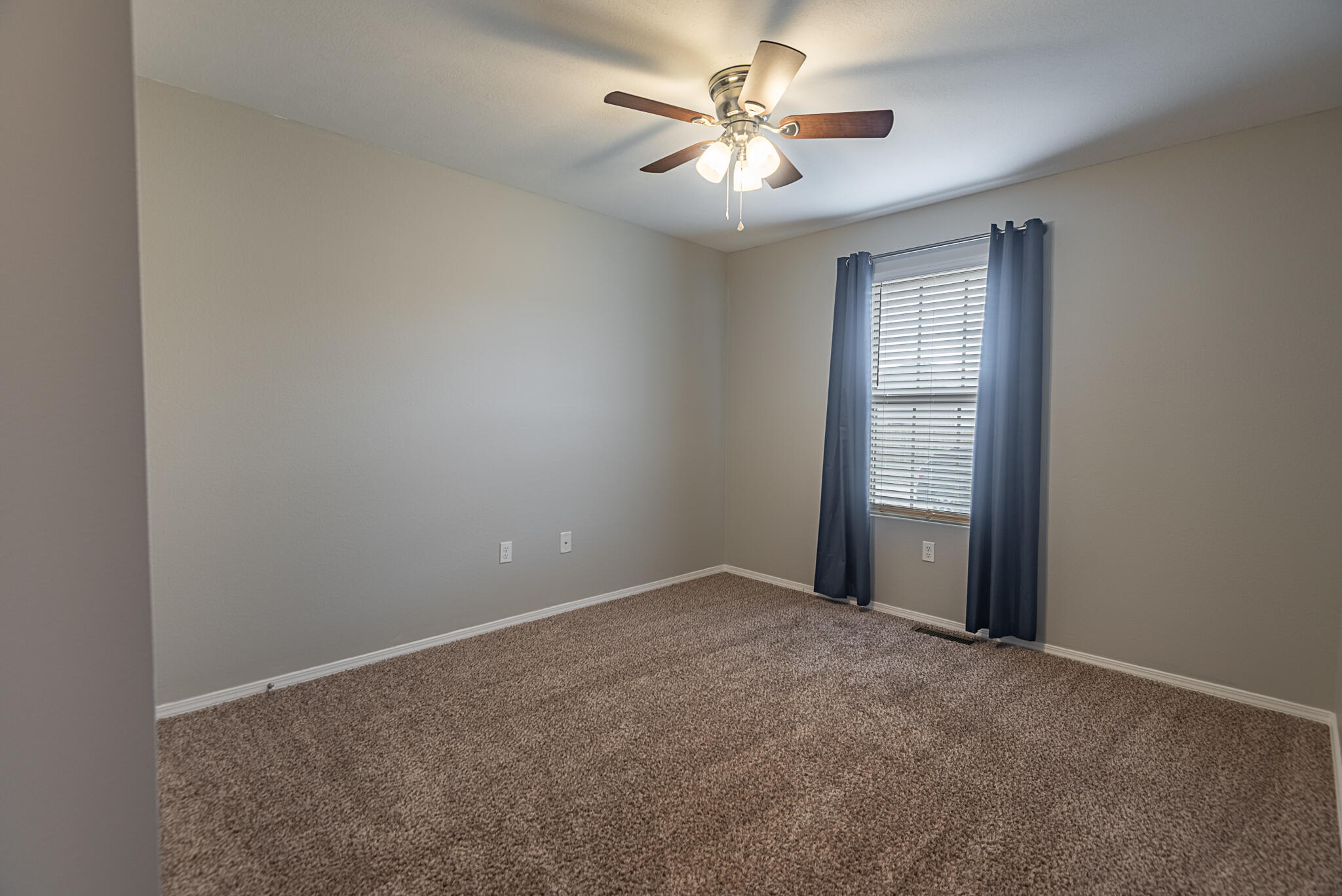 309 West Corsica Street Property Photo 24