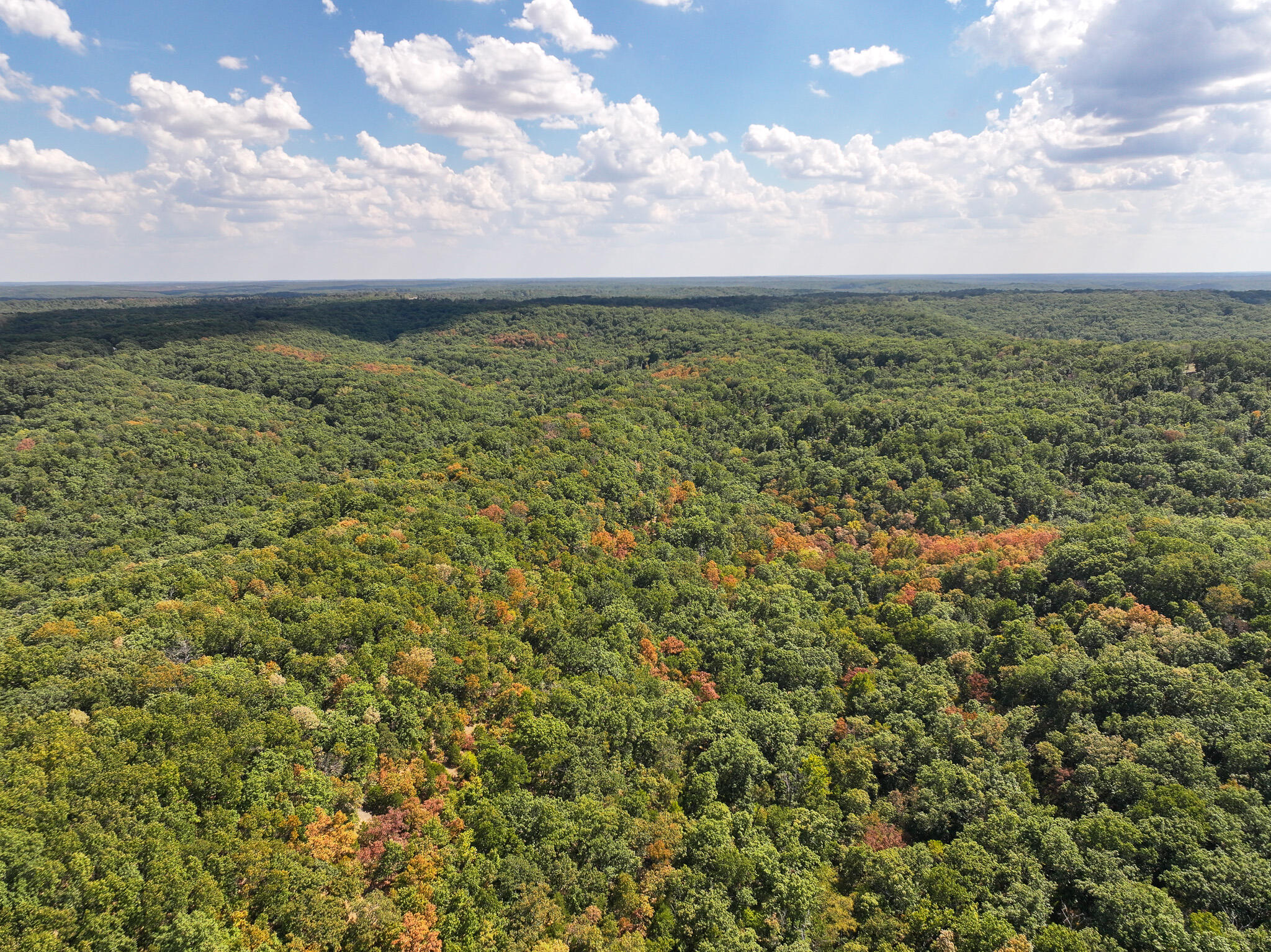 Tbd Gods Little Acre Property Photo 5