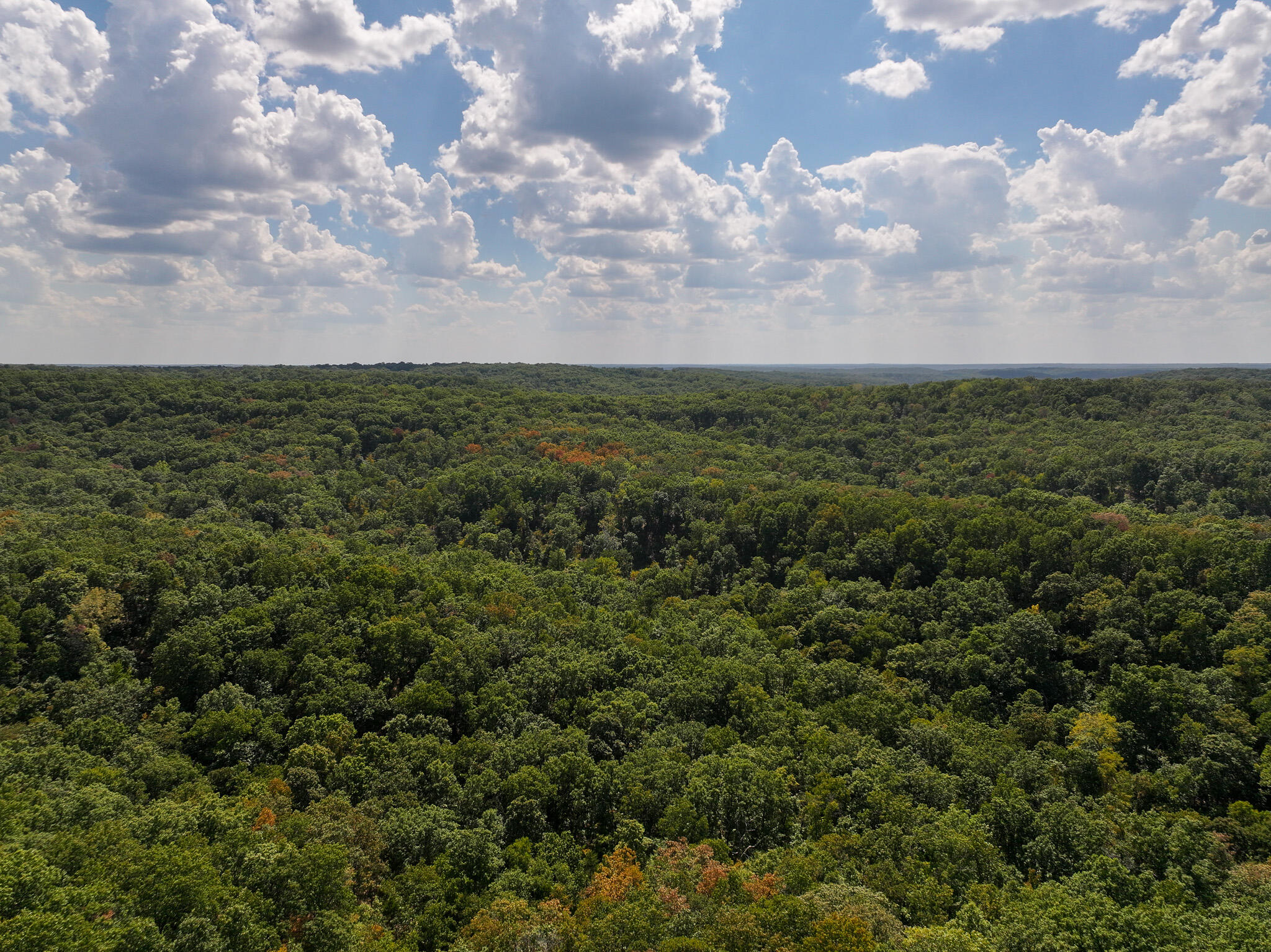Tbd Gods Little Acre Property Photo 6