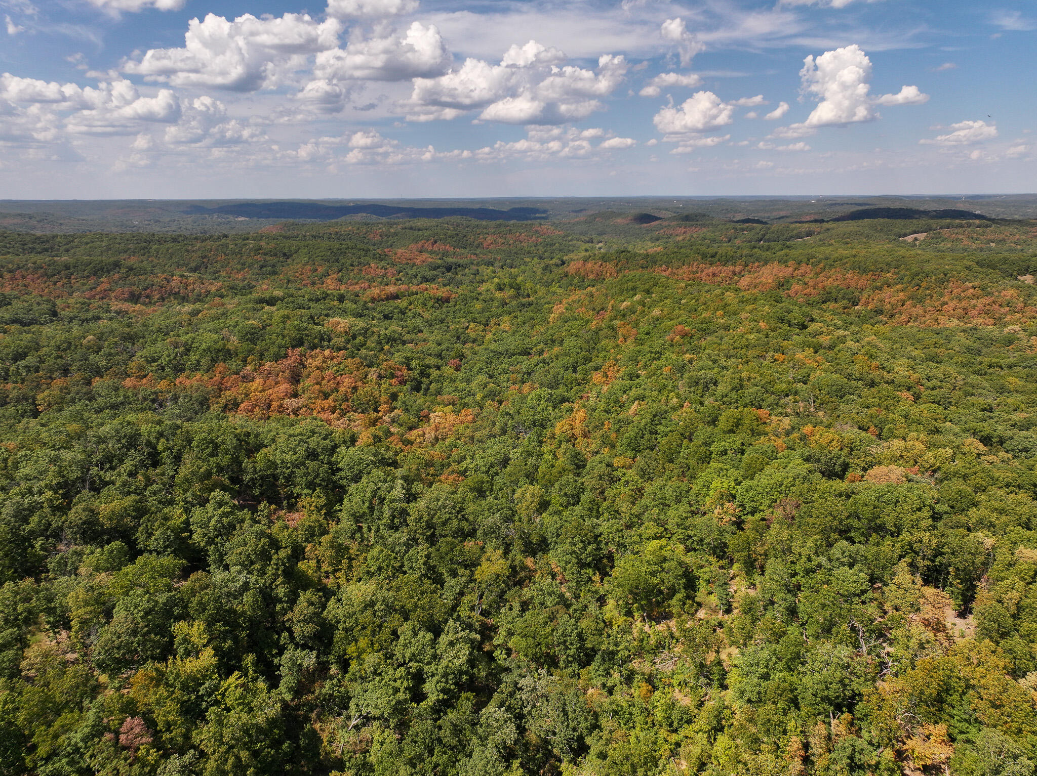 Tbd Gods Little Acre Property Photo 9