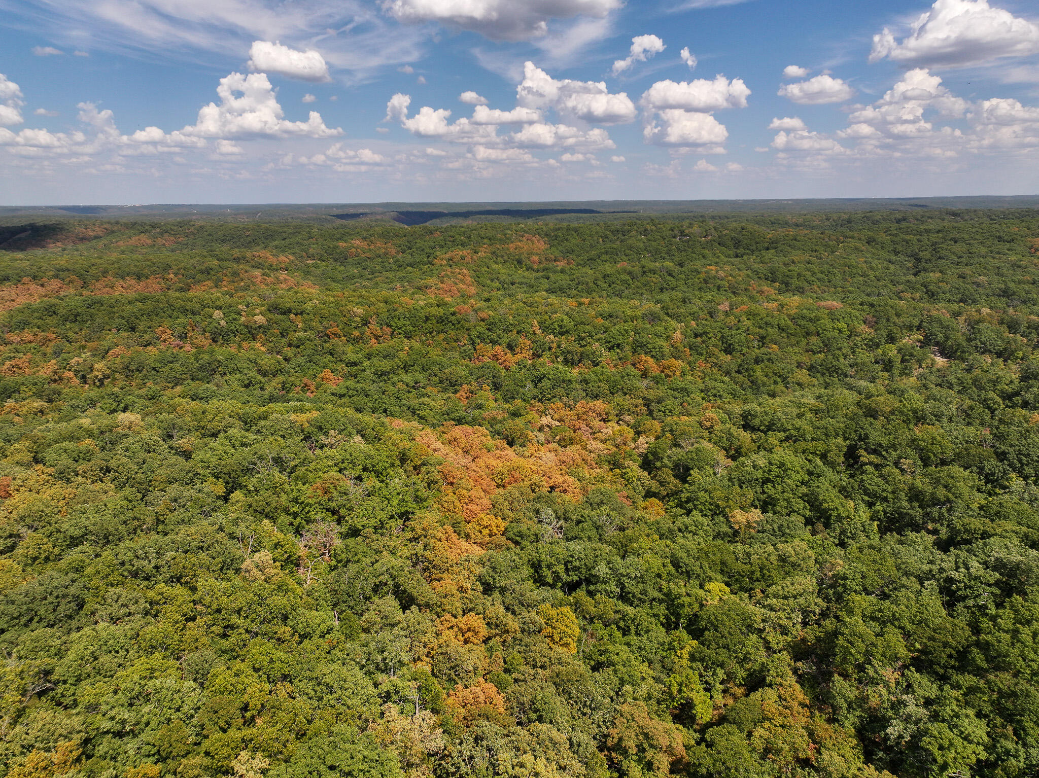 Tbd Gods Little Acre Property Photo 10
