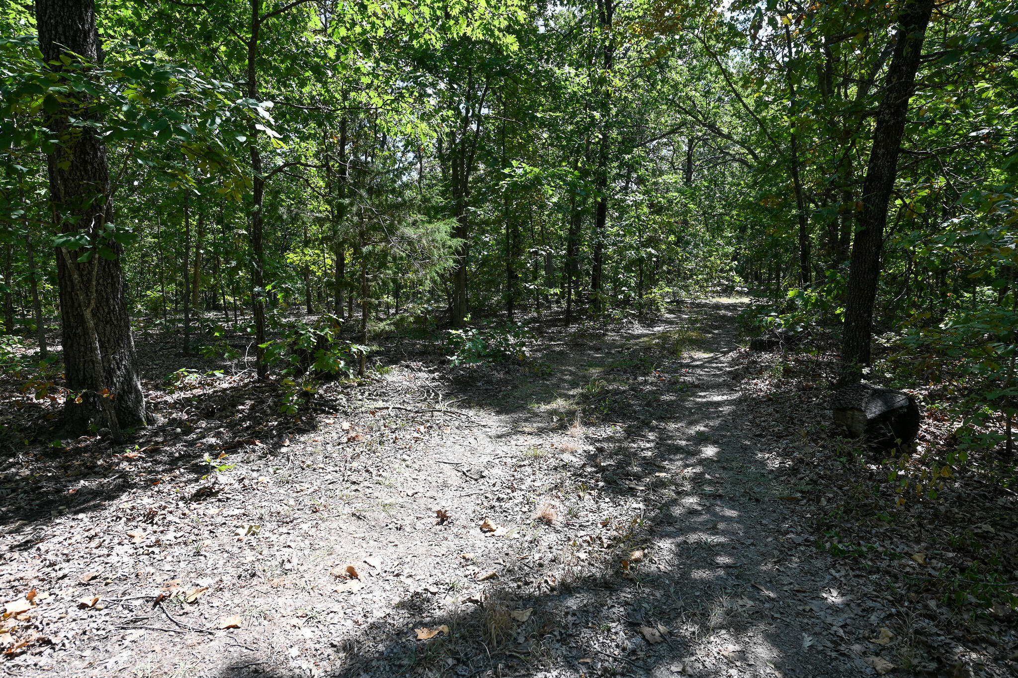 Tbd Gods Little Acre Property Photo 11