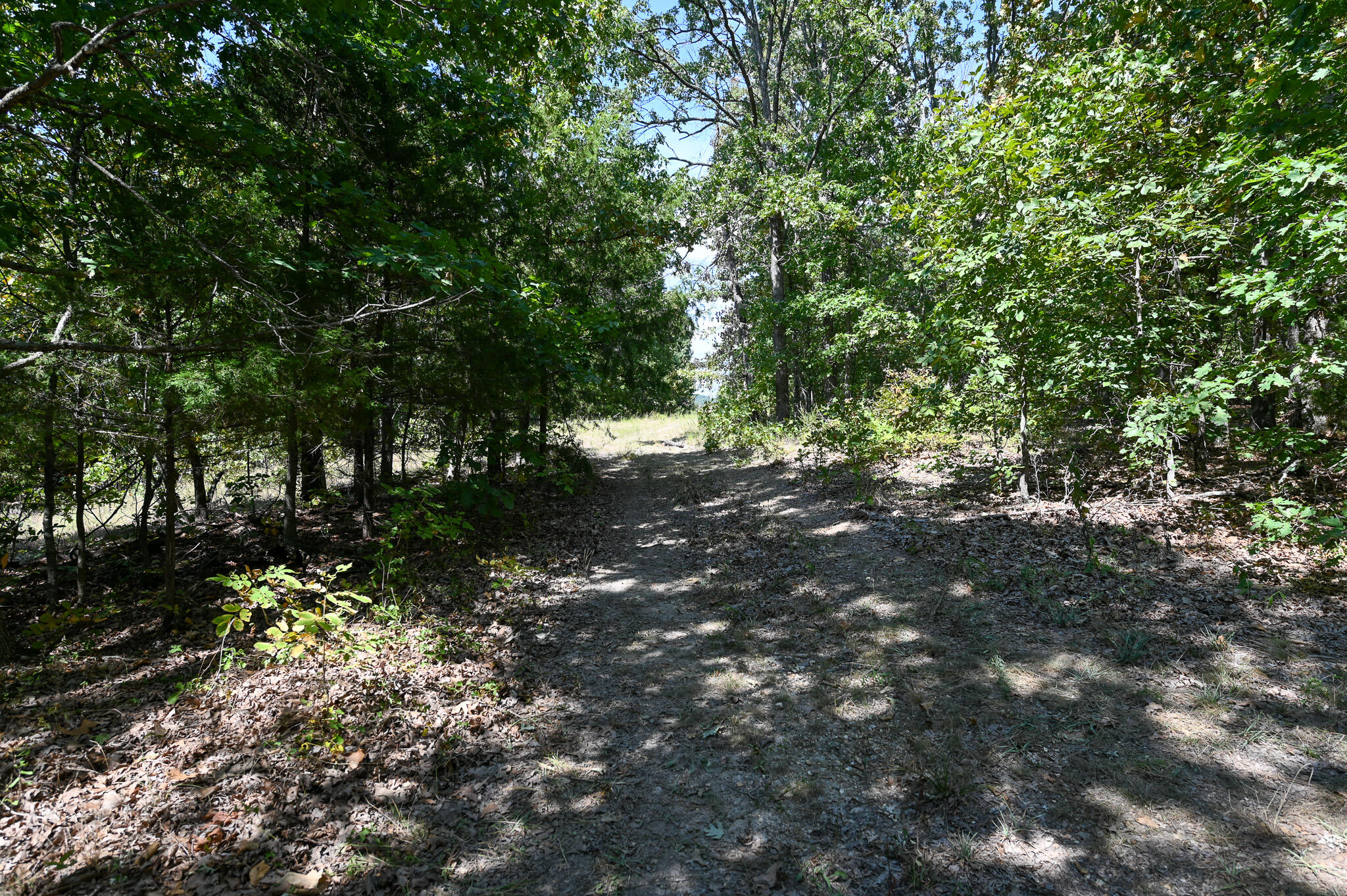Tbd Gods Little Acre Property Photo 12
