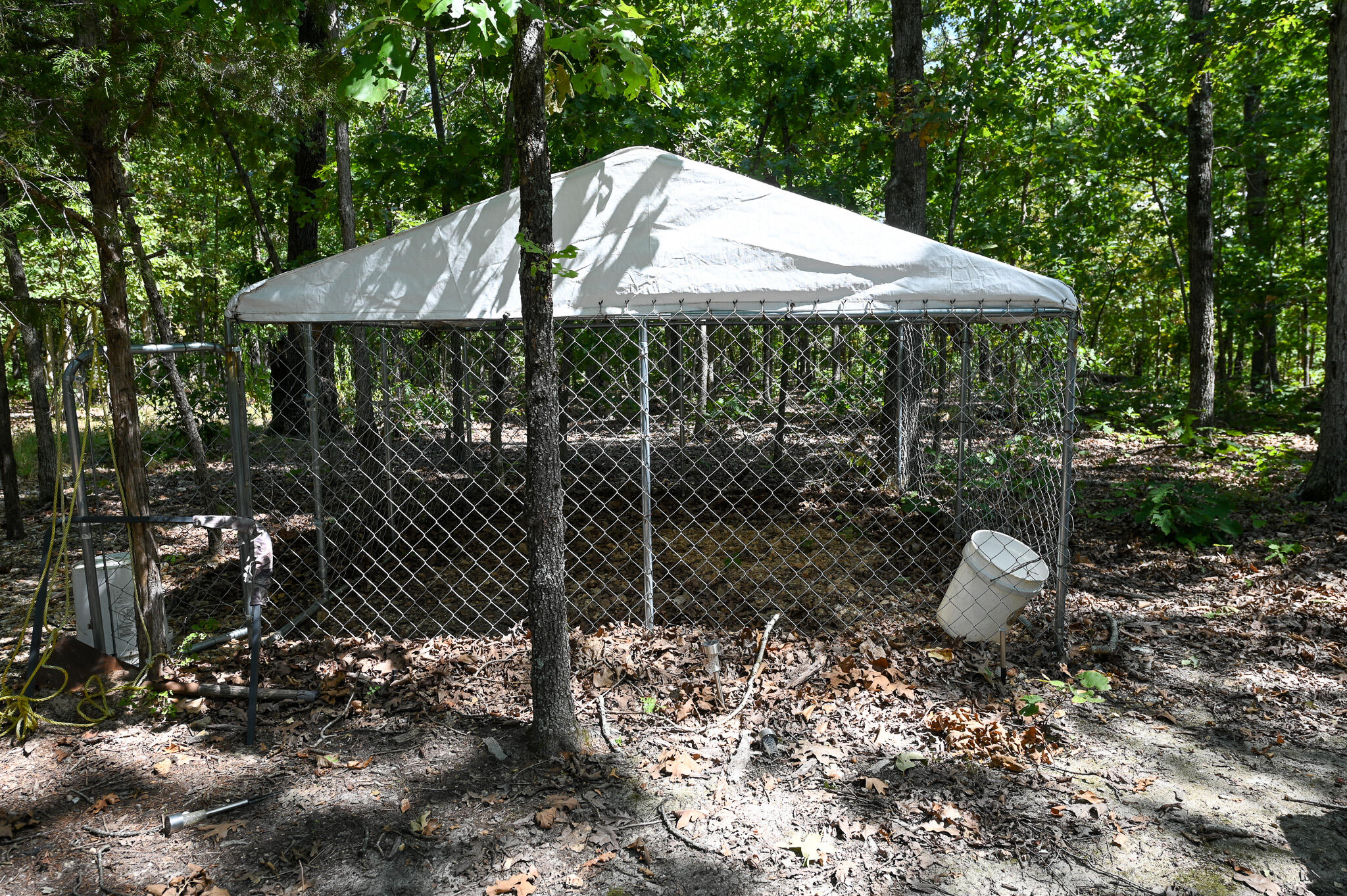 Tbd Gods Little Acre Property Photo 14