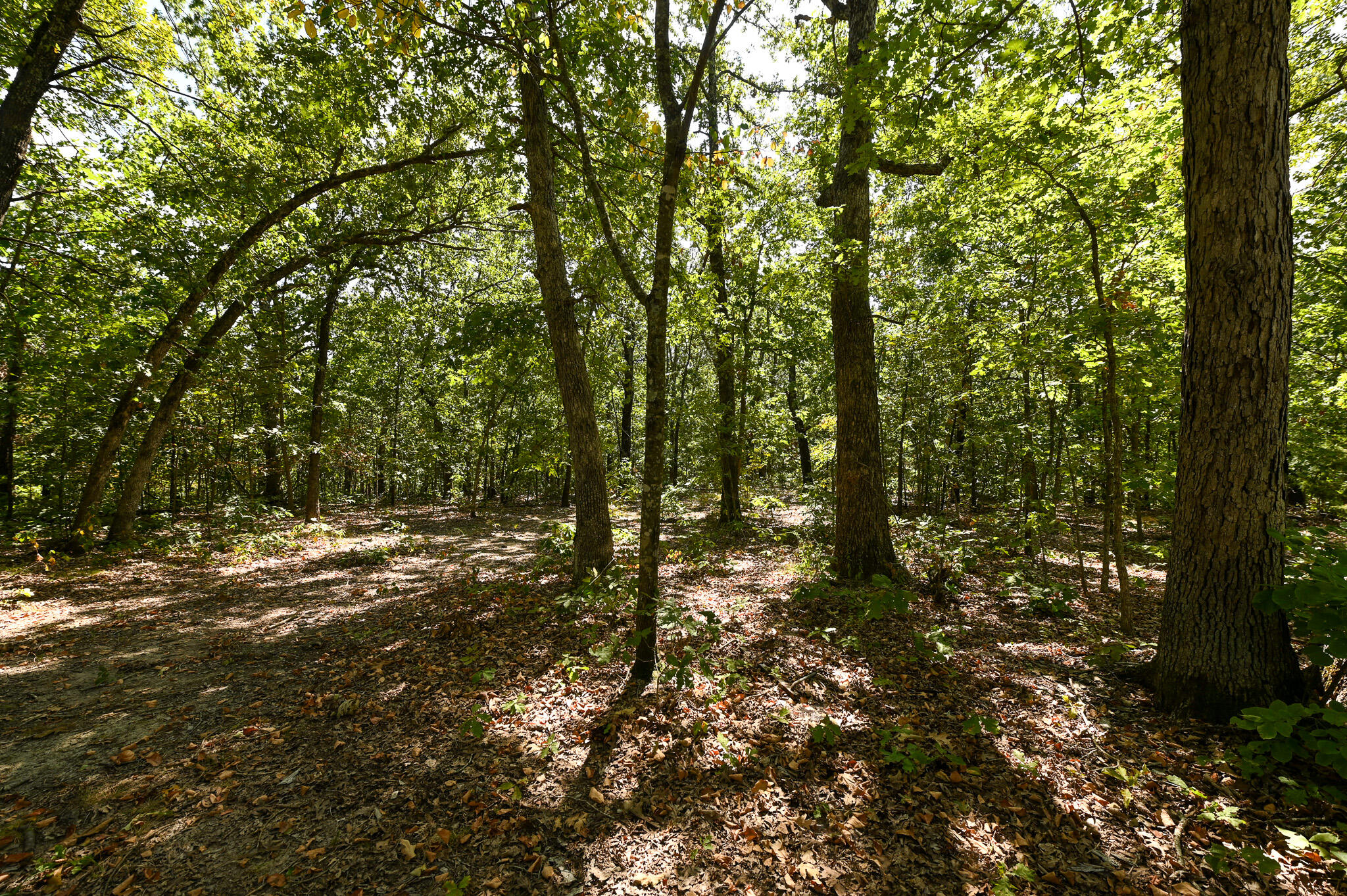 Tbd Gods Little Acre Property Photo 23