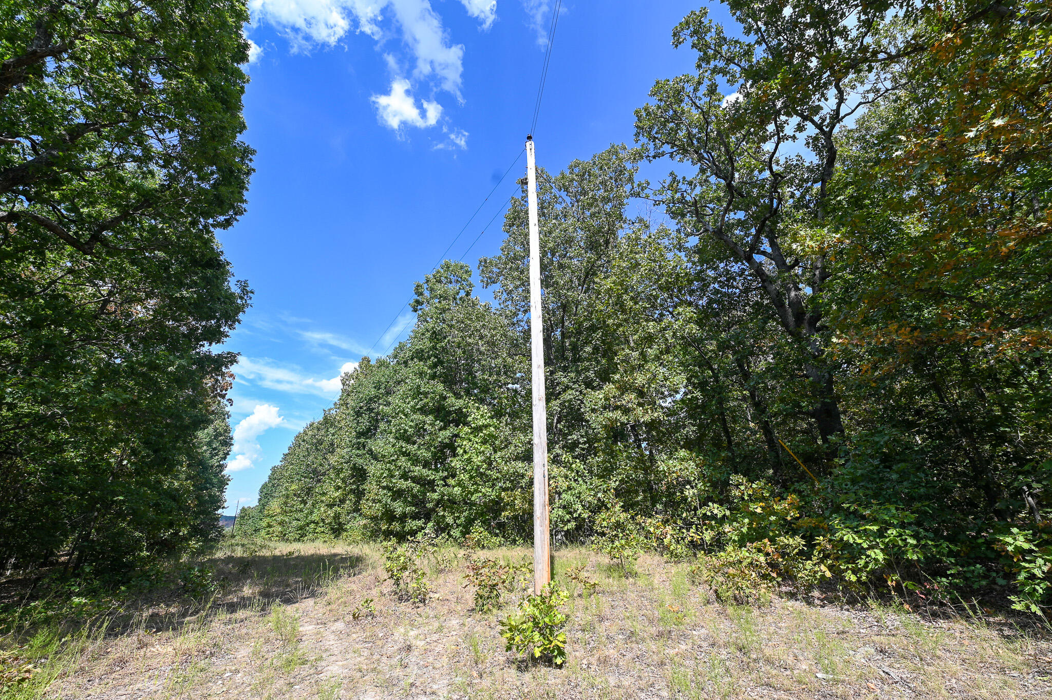 Tbd Gods Little Acre Property Photo 25