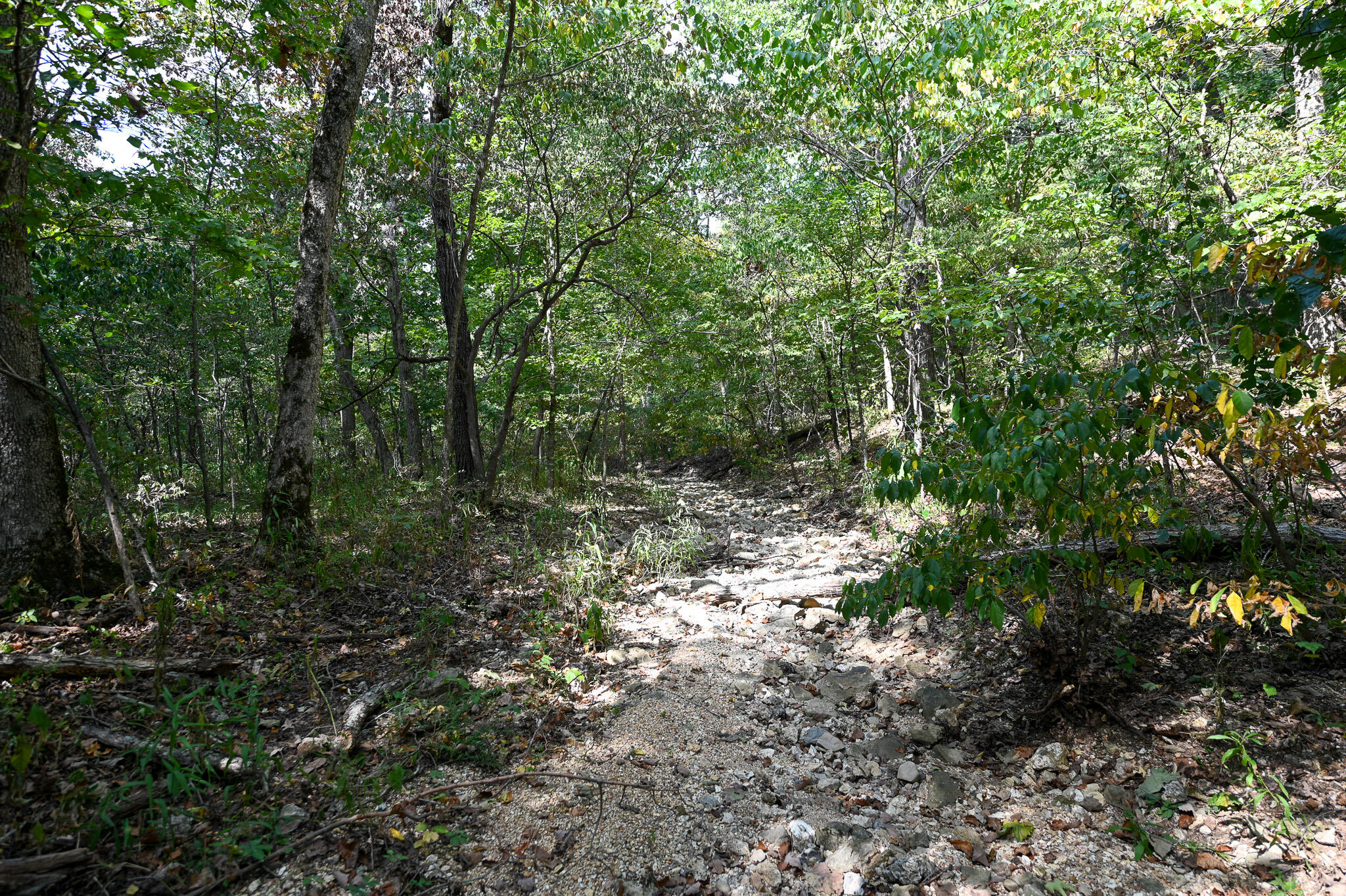 Tbd Gods Little Acre Property Photo 28