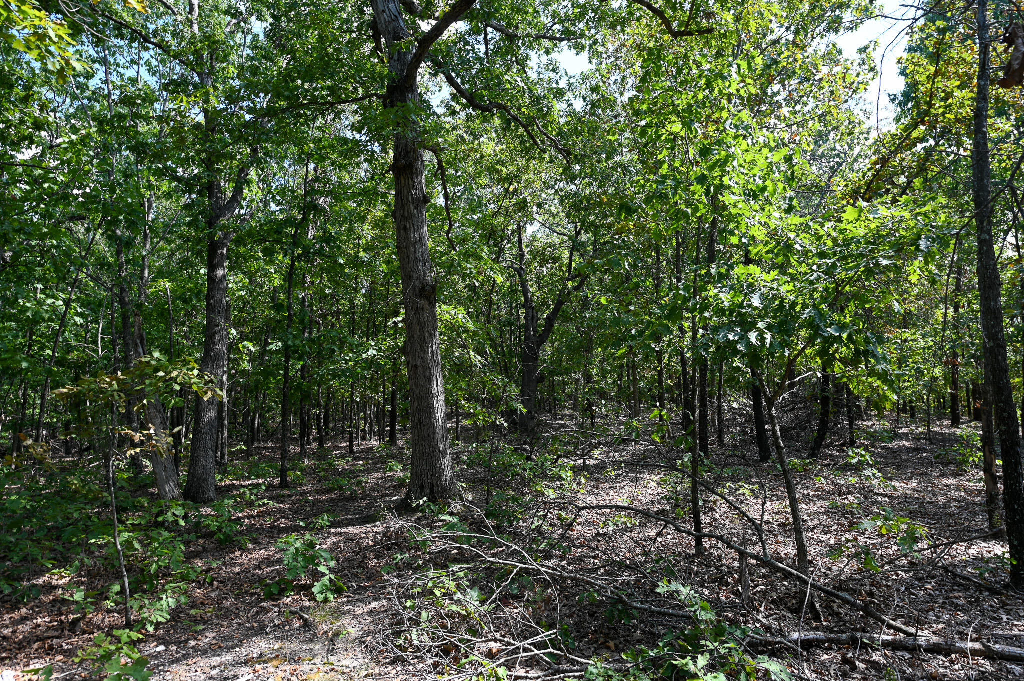 Tbd Gods Little Acre Property Photo 29