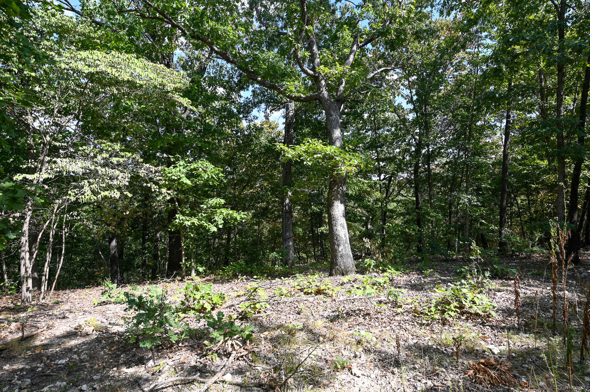 Tbd Gods Little Acre Property Photo 31