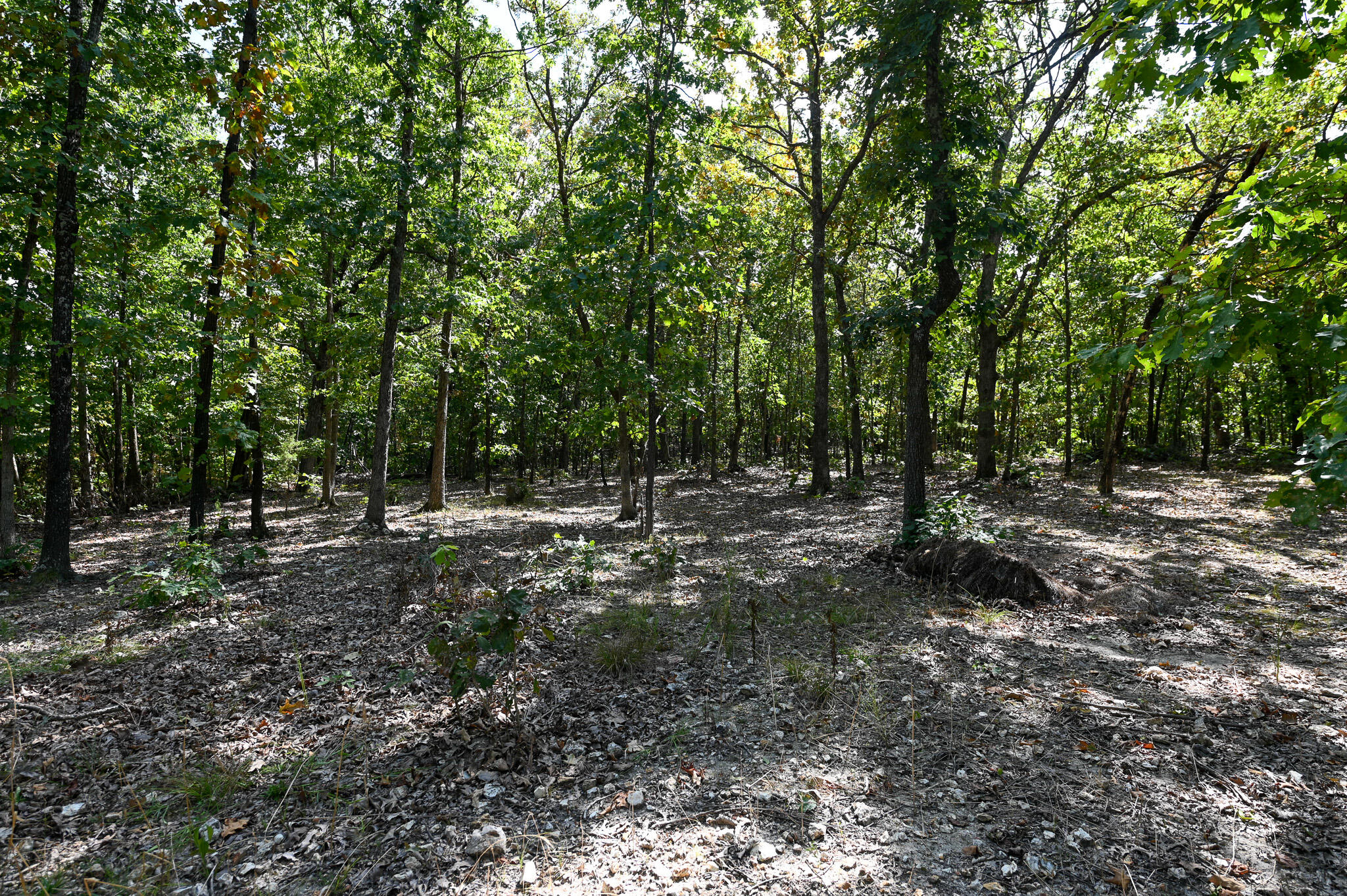 Tbd Gods Little Acre Property Photo 32