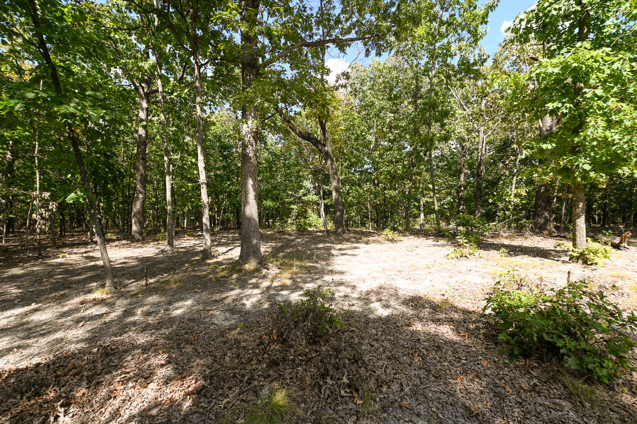 Tbd Gods Little Acre Property Photo 34